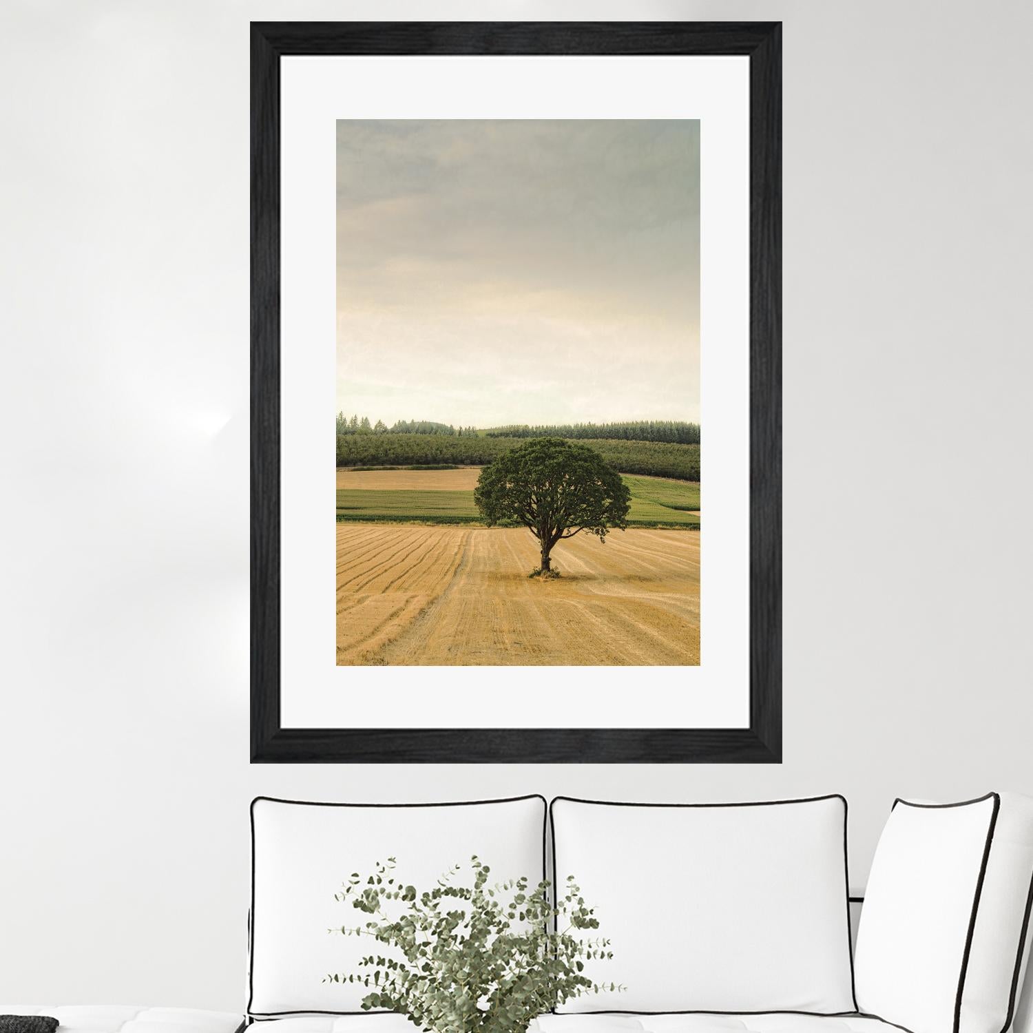 Lone Tree in an Autumn Field by Don Schwartz on GIANT ART - blue trees