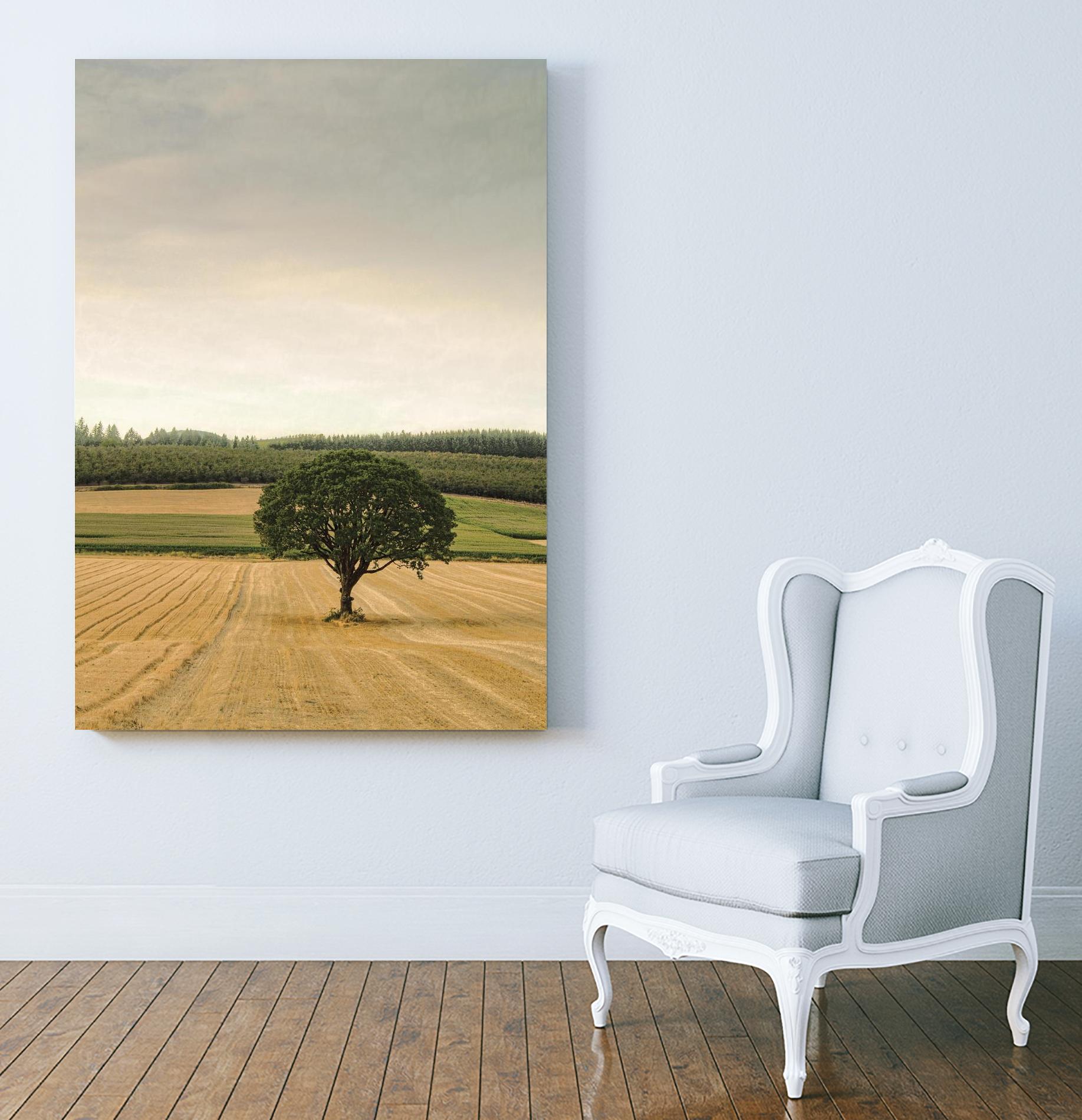 Lone Tree in an Autumn Field by Don Schwartz on GIANT ART - blue trees