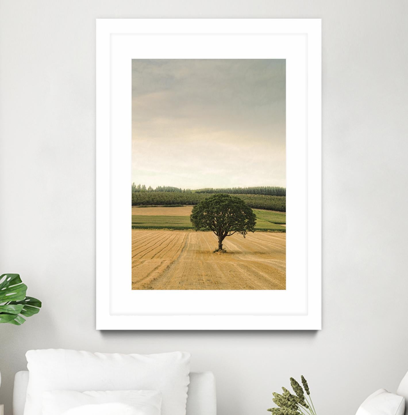 Lone Tree in an Autumn Field by Don Schwartz on GIANT ART - blue trees