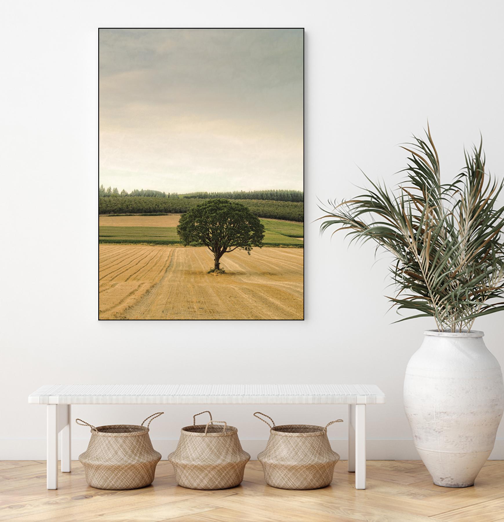 Lone Tree in an Autumn Field by Don Schwartz on GIANT ART - blue trees