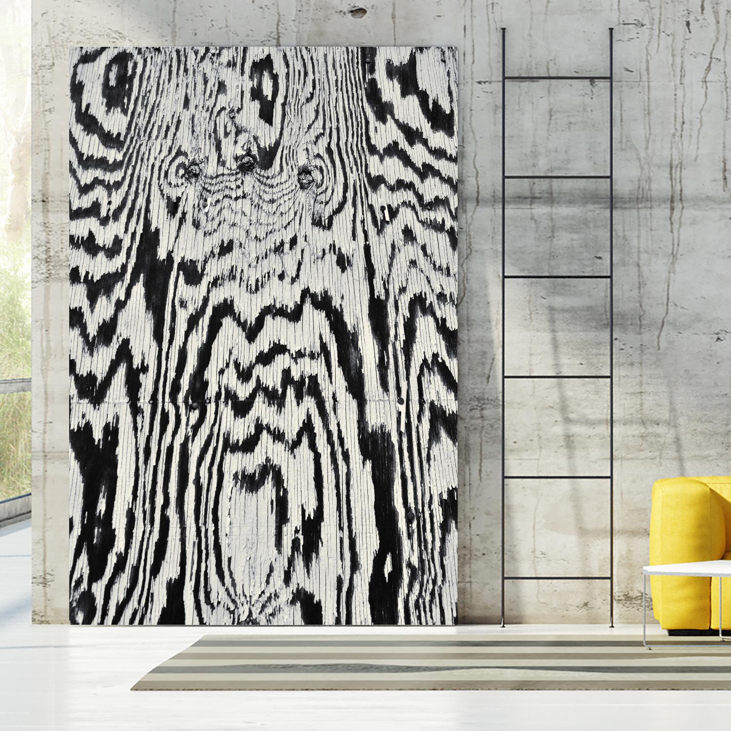 Zebra by Caleb Troy on GIANT ART - white abstract