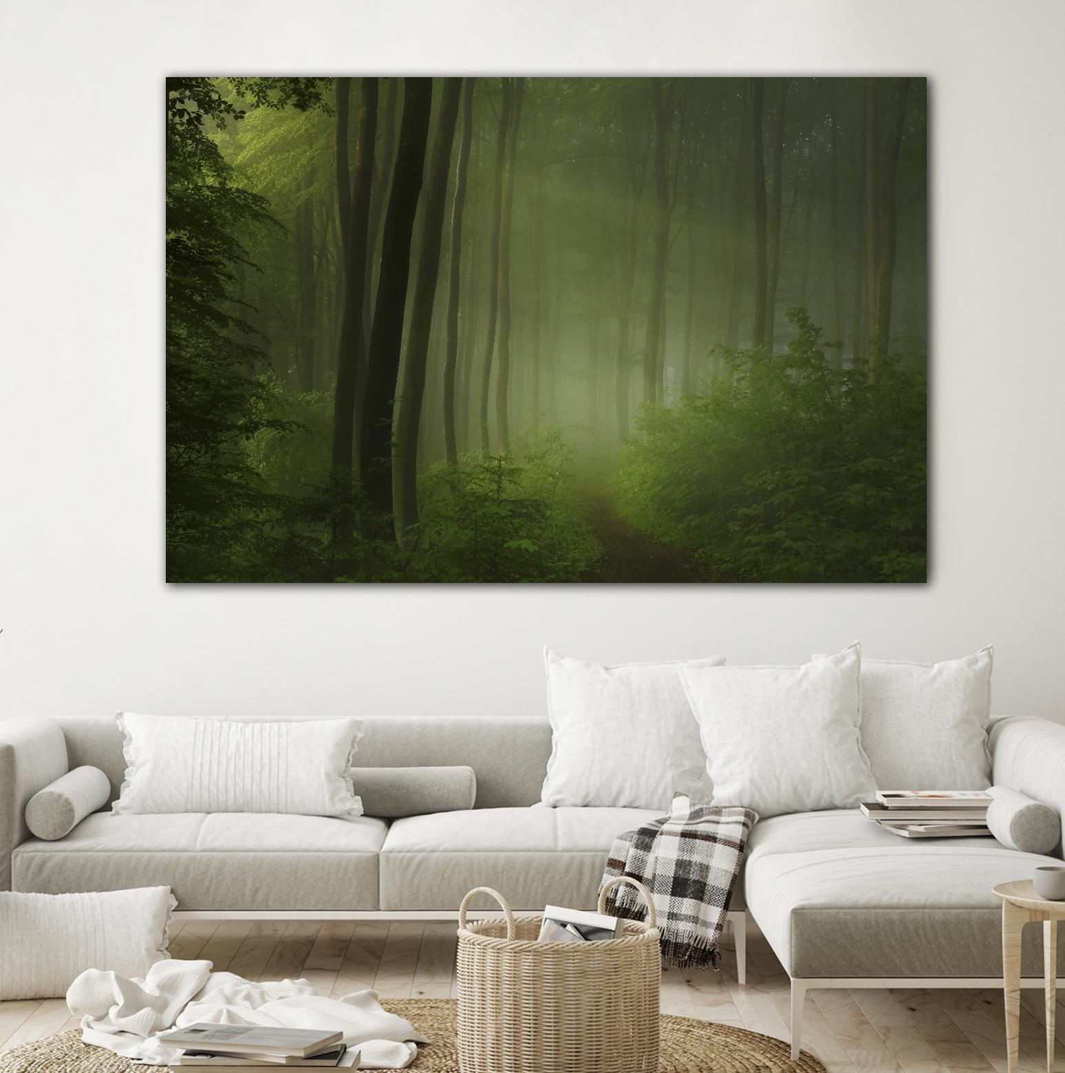 Maier - Forest Morning by 1X on GIANT ART - black trees