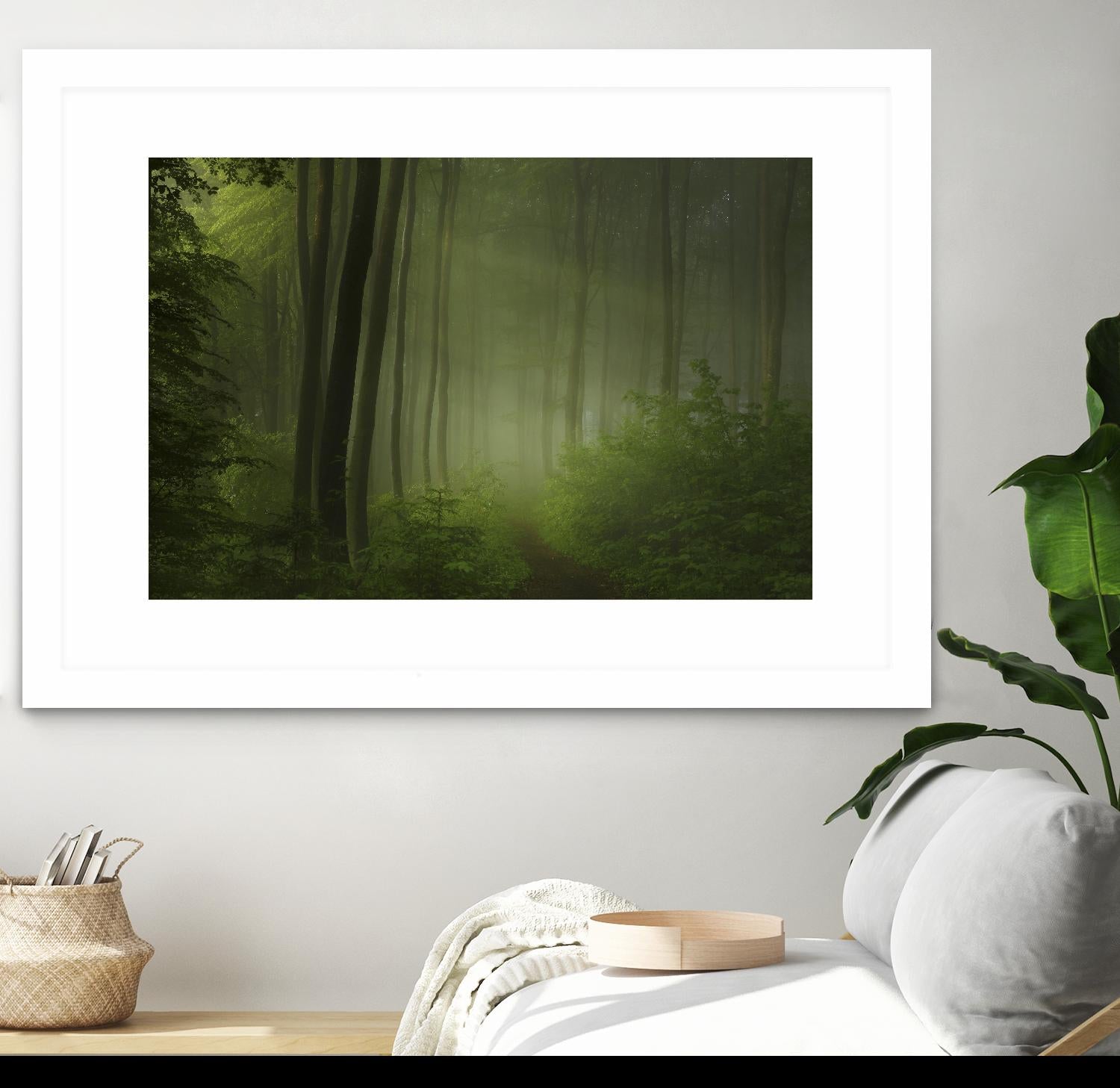 Maier - Forest Morning by 1X on GIANT ART - black trees