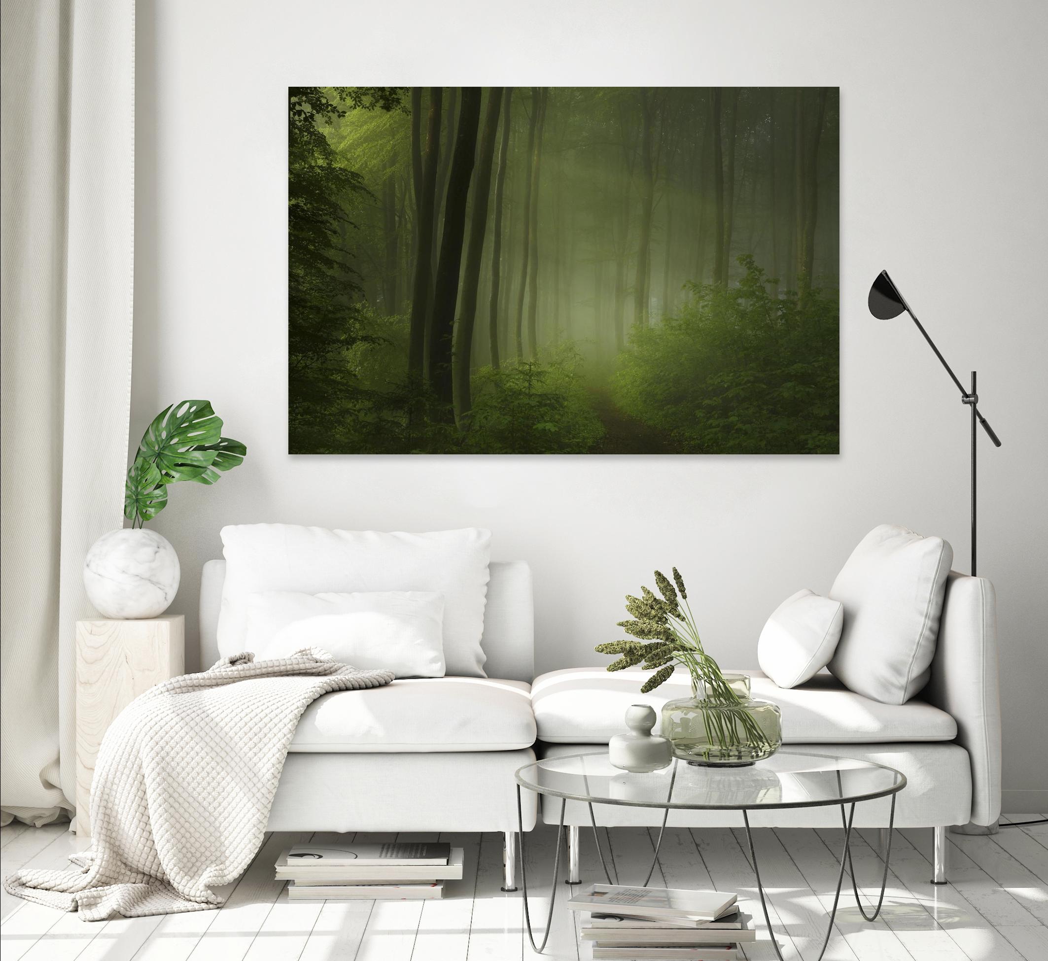 Maier - Forest Morning by 1X on GIANT ART - black trees