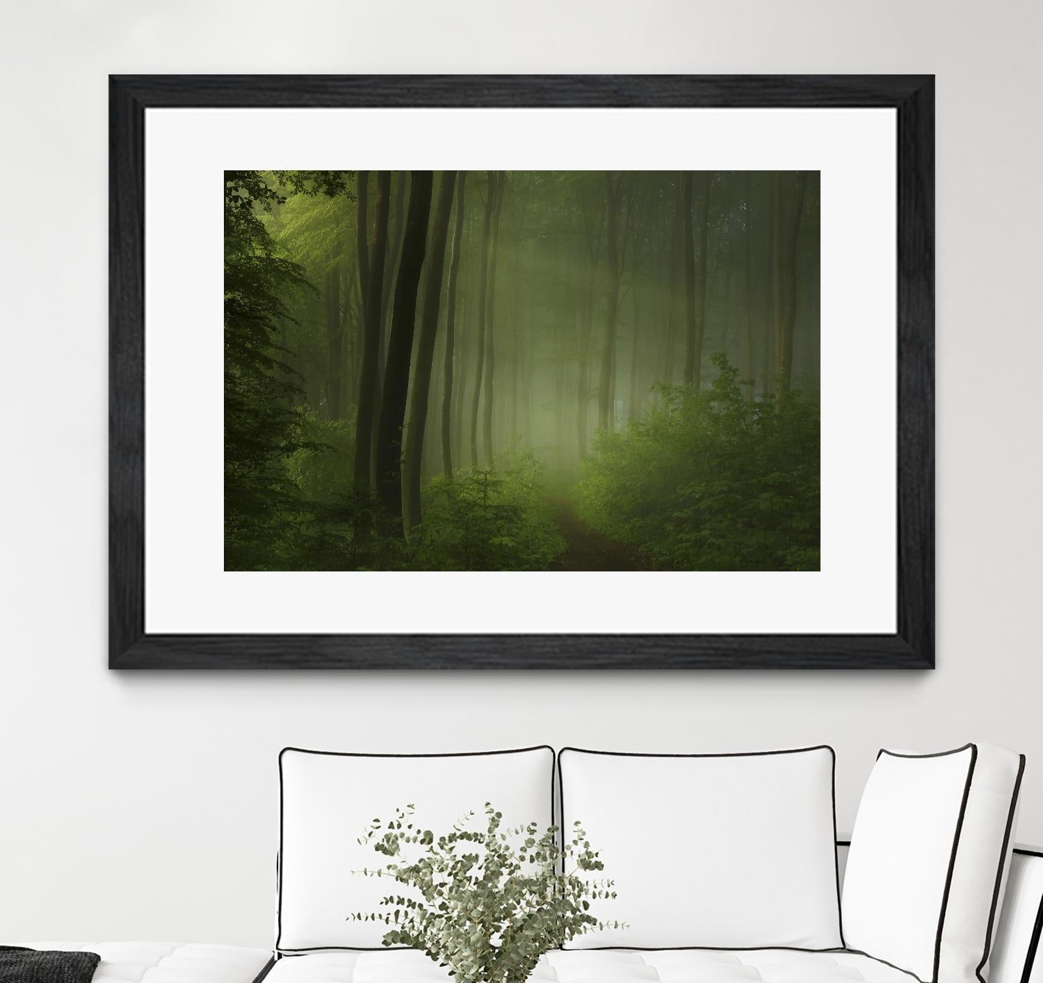 Maier - Forest Morning by 1X on GIANT ART - black trees