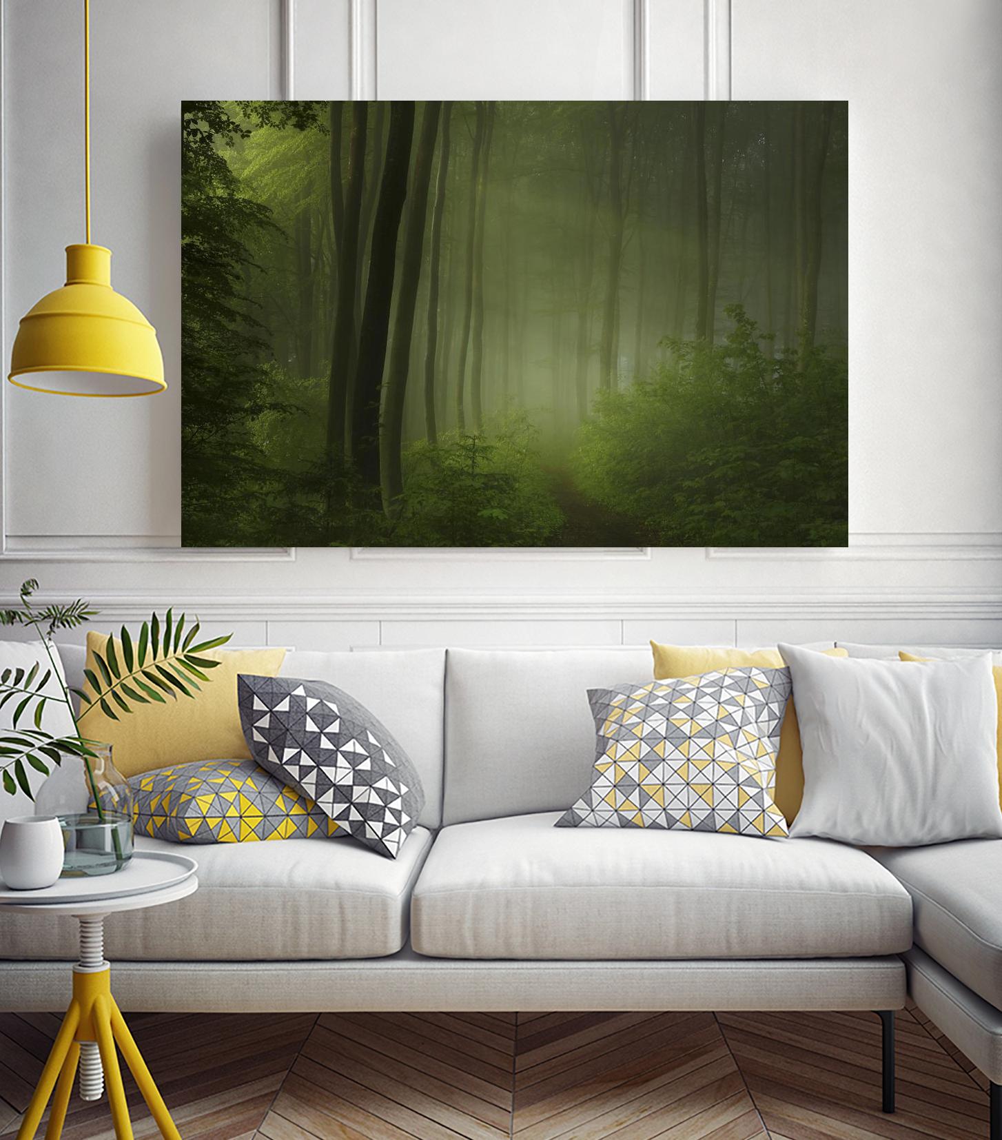 Maier - Forest Morning by 1X on GIANT ART - black trees