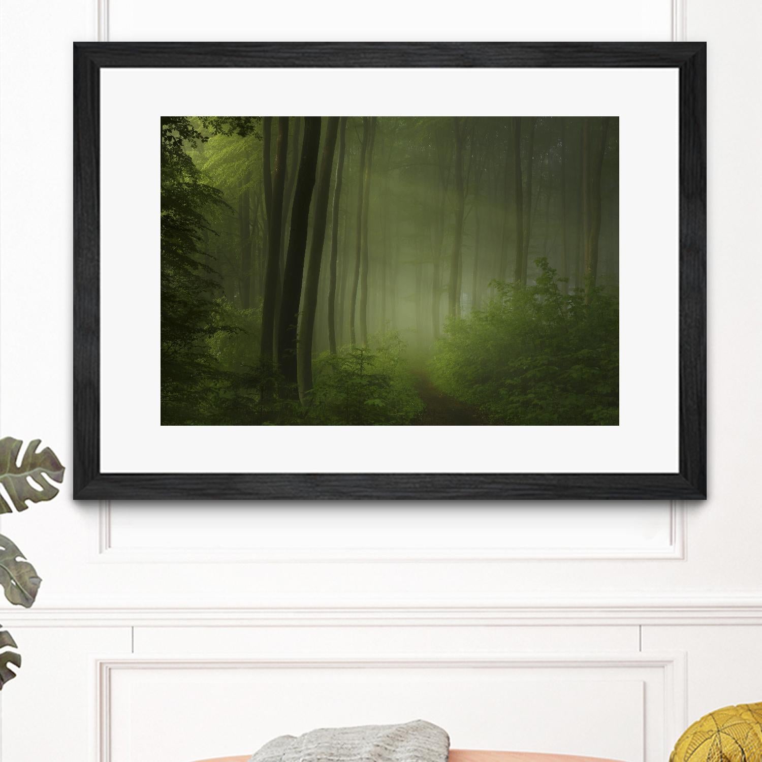 Maier - Forest Morning by 1X on GIANT ART - black trees