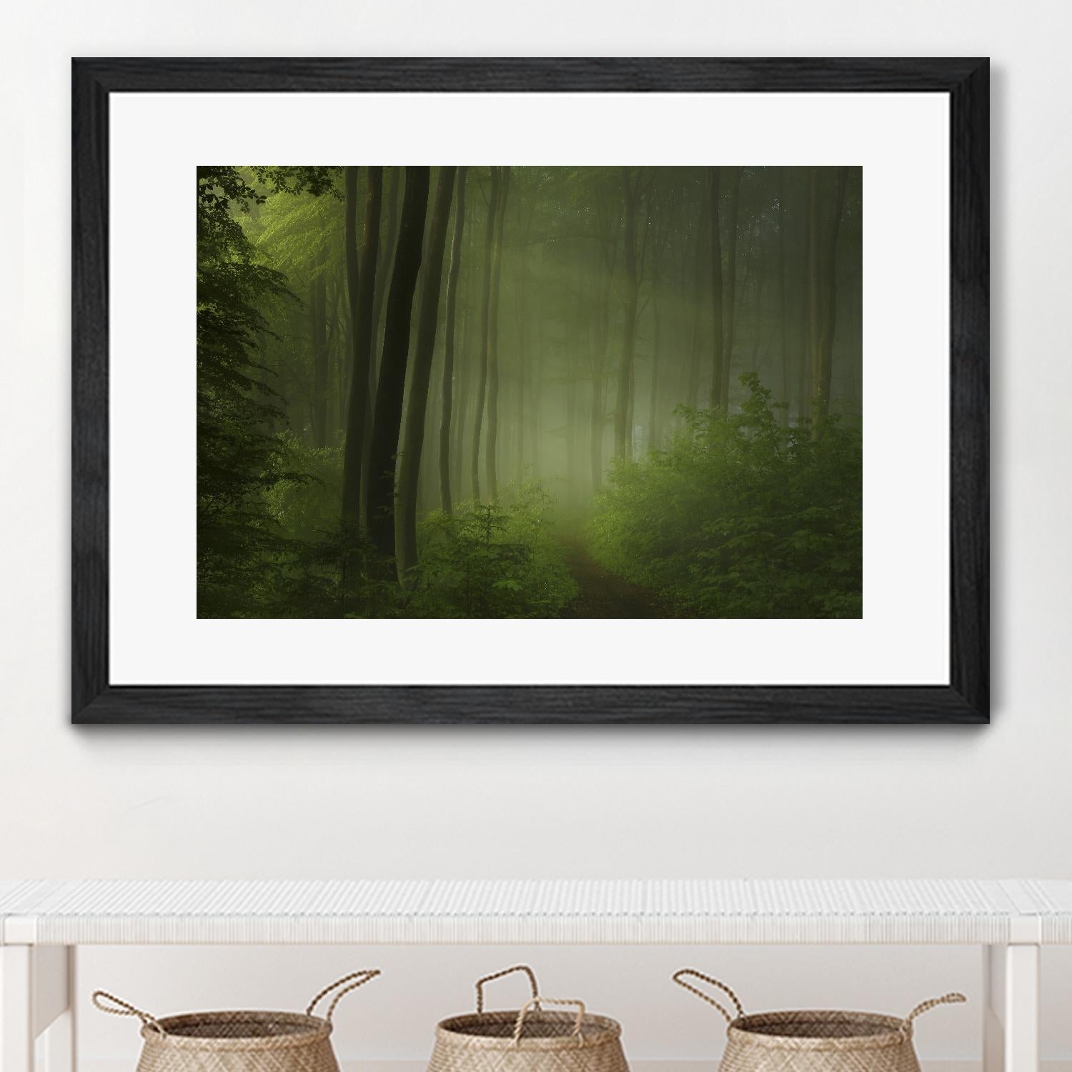 Maier - Forest Morning by 1X on GIANT ART - black trees
