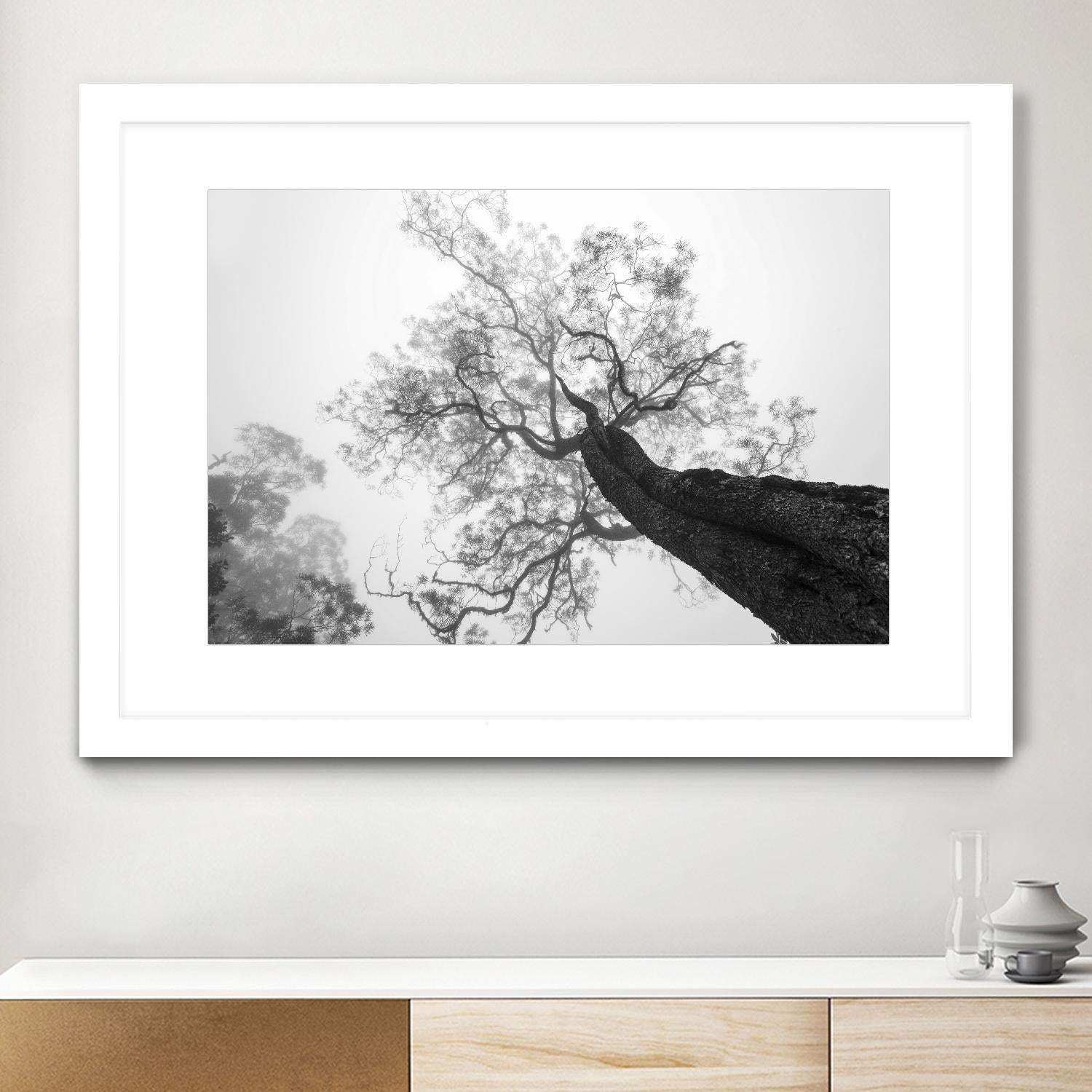 Wrobel - Between Heaven and Earth by 1X on GIANT ART - black trees