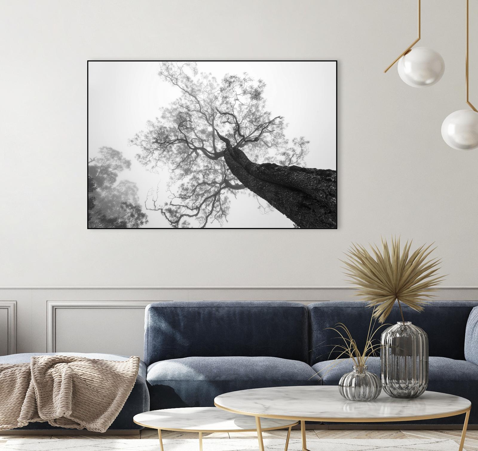 Wrobel - Between Heaven and Earth by 1X on GIANT ART - black trees