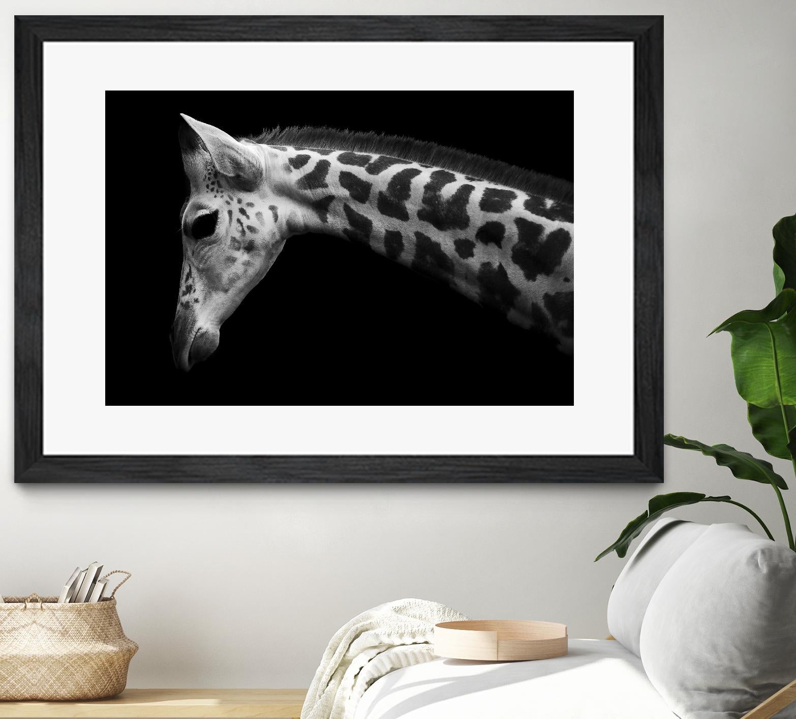 Williams - Calf by 1X on GIANT ART - white animals