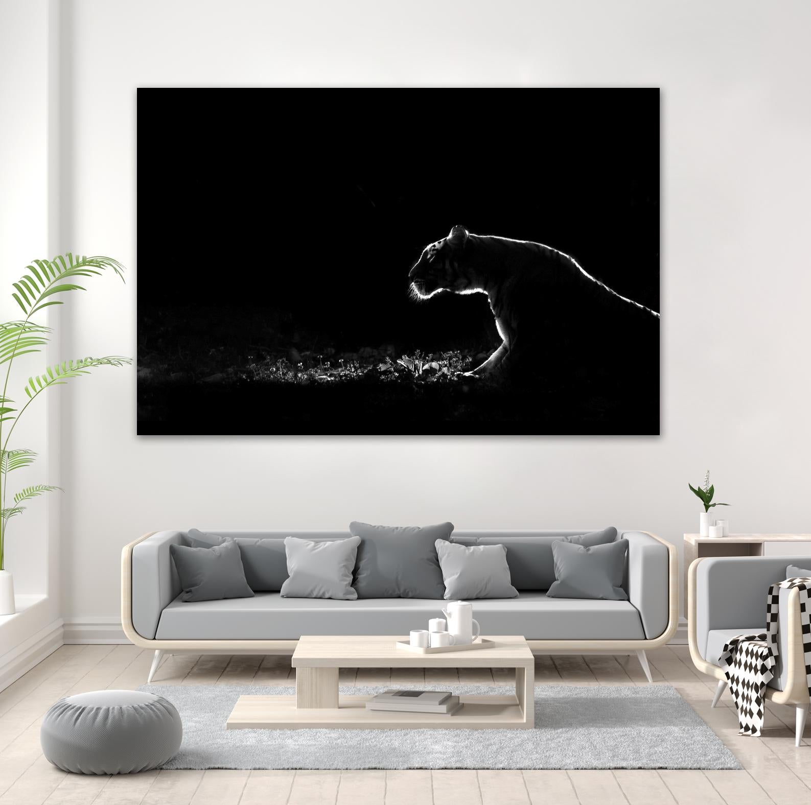 Amot - Untitled by 1X on GIANT ART - white animals