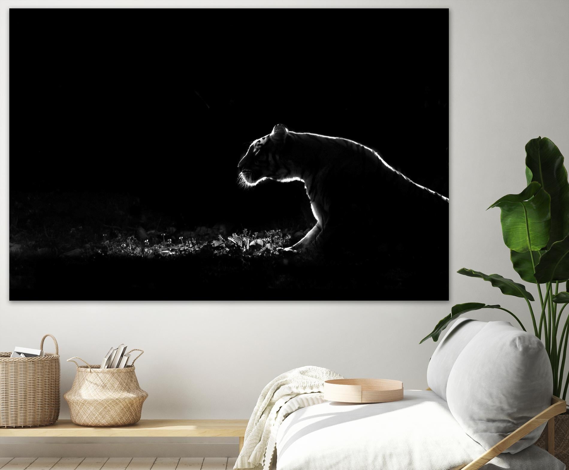 Amot - Untitled by 1X on GIANT ART - white animals