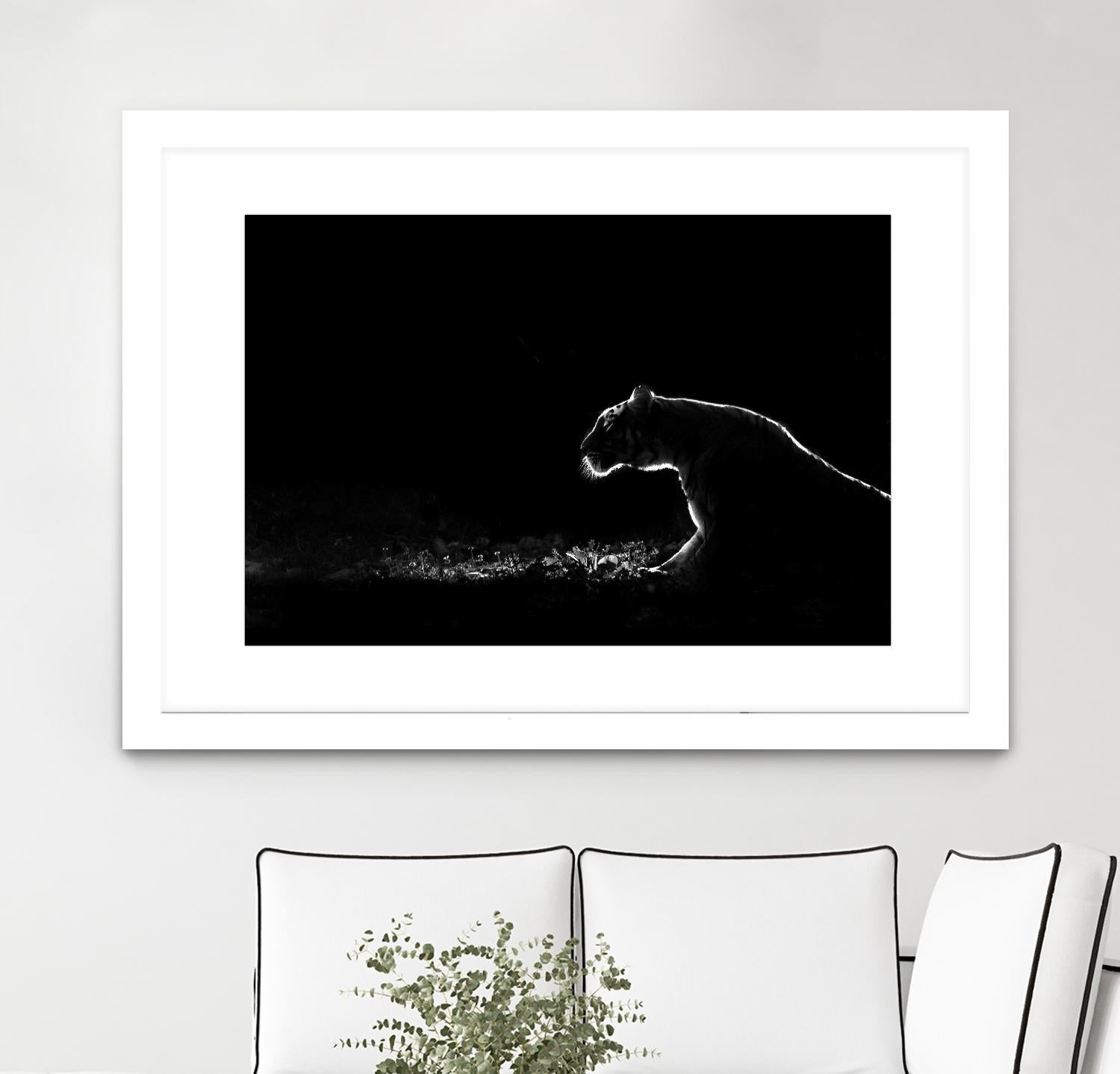 Amot - Untitled by 1X on GIANT ART - white animals