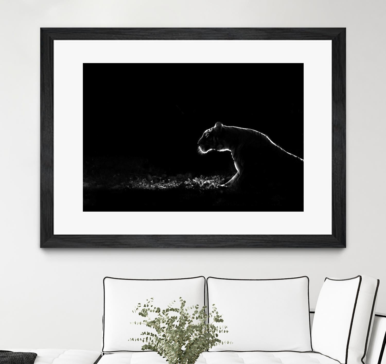 Amot - Untitled by 1X on GIANT ART - white animals