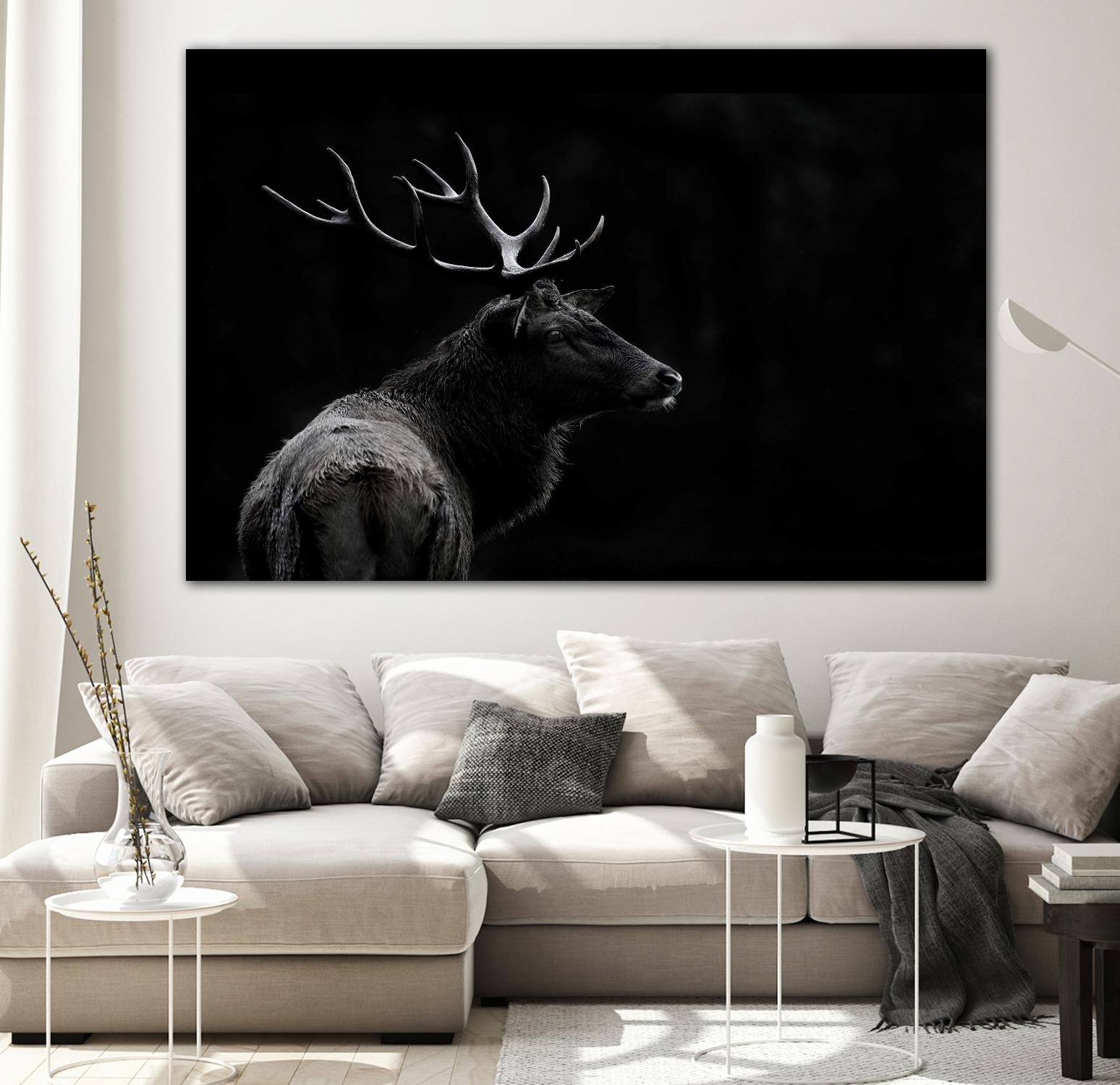 The Deer Soul by PEI 1X on GIANT ART - white black & white deer
