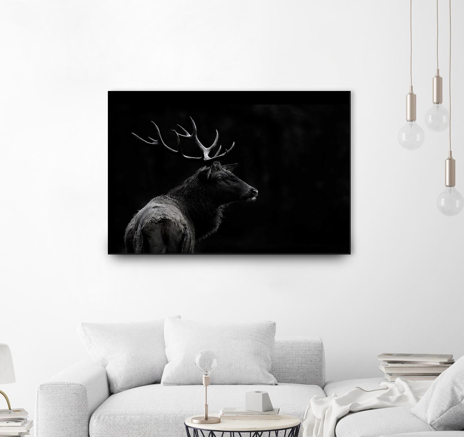 The Deer Soul by PEI 1X on GIANT ART - white black & white deer