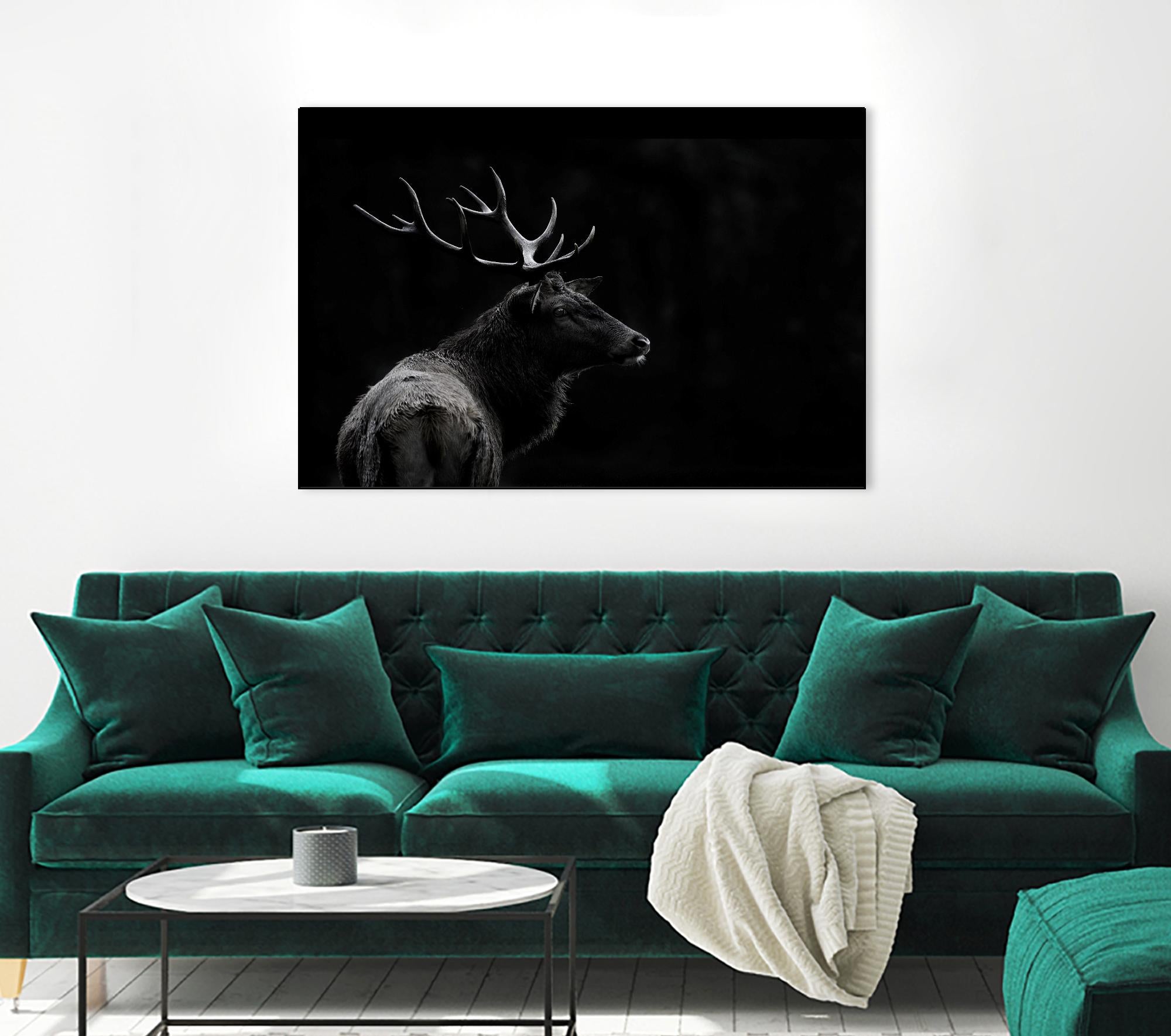 The Deer Soul by PEI 1X on GIANT ART - white black & white deer