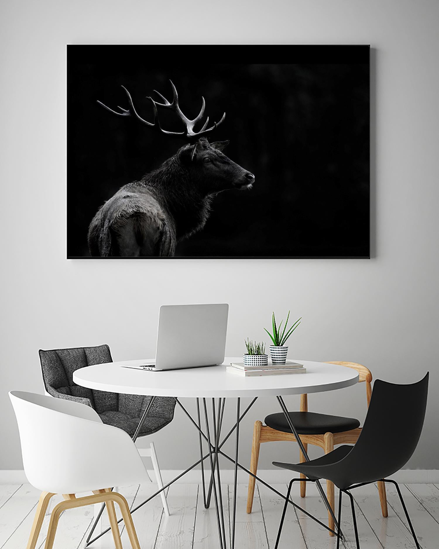 The Deer Soul by PEI 1X on GIANT ART - white black & white deer