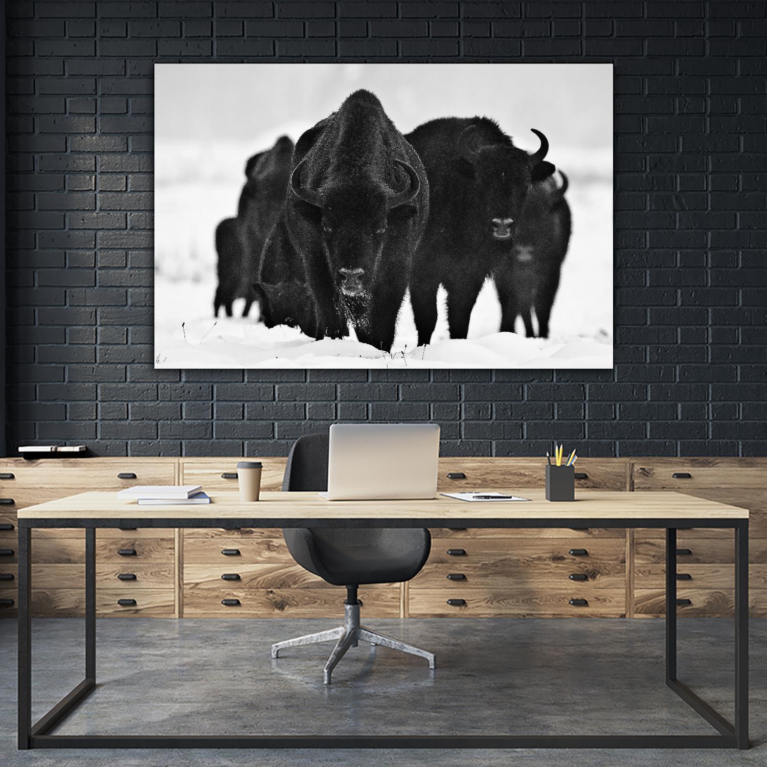 Europeans Bizons by Crepinsek 1X on GIANT ART - black animals