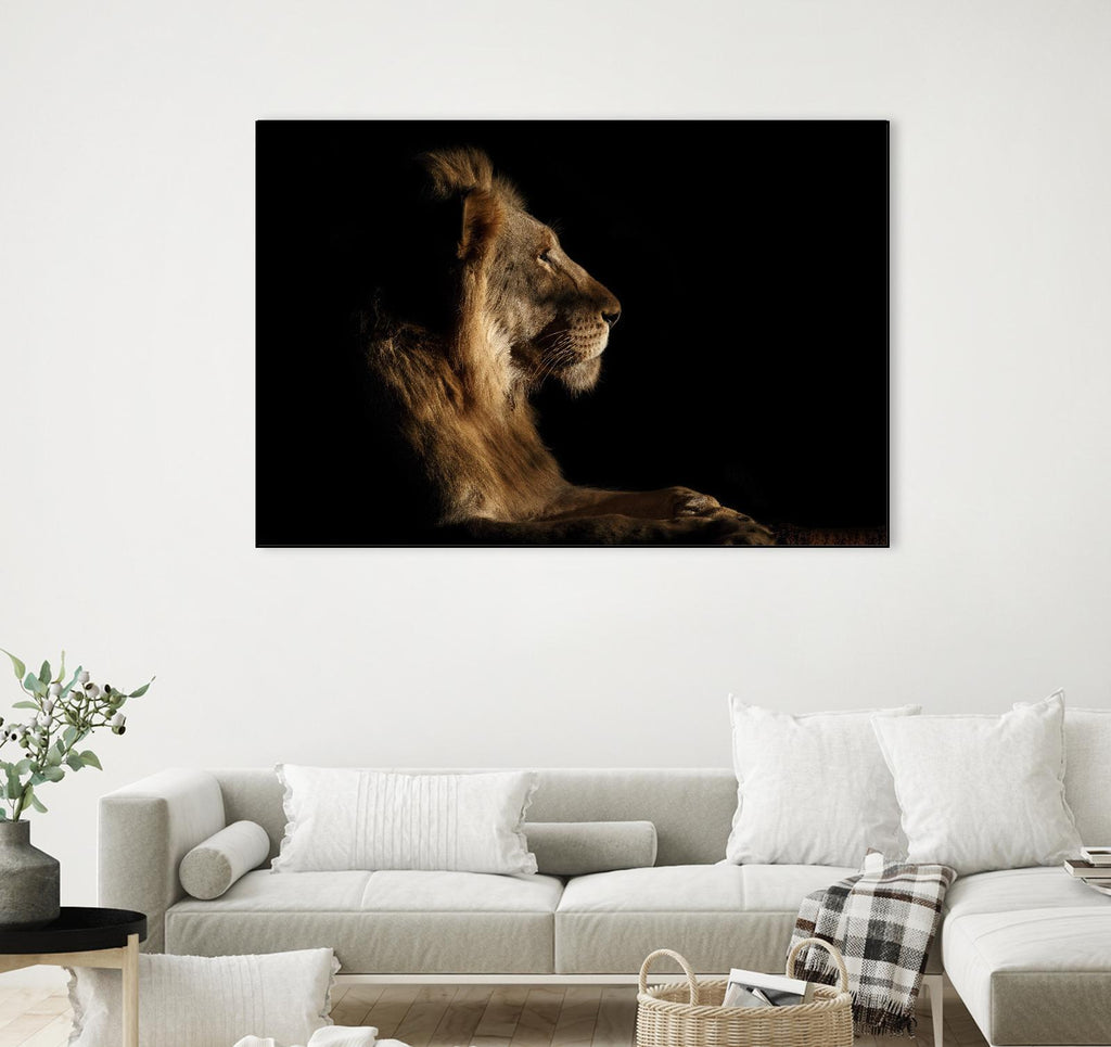 Royal Meeting in the Night by Hemb 1X on GIANT ART - black animals
