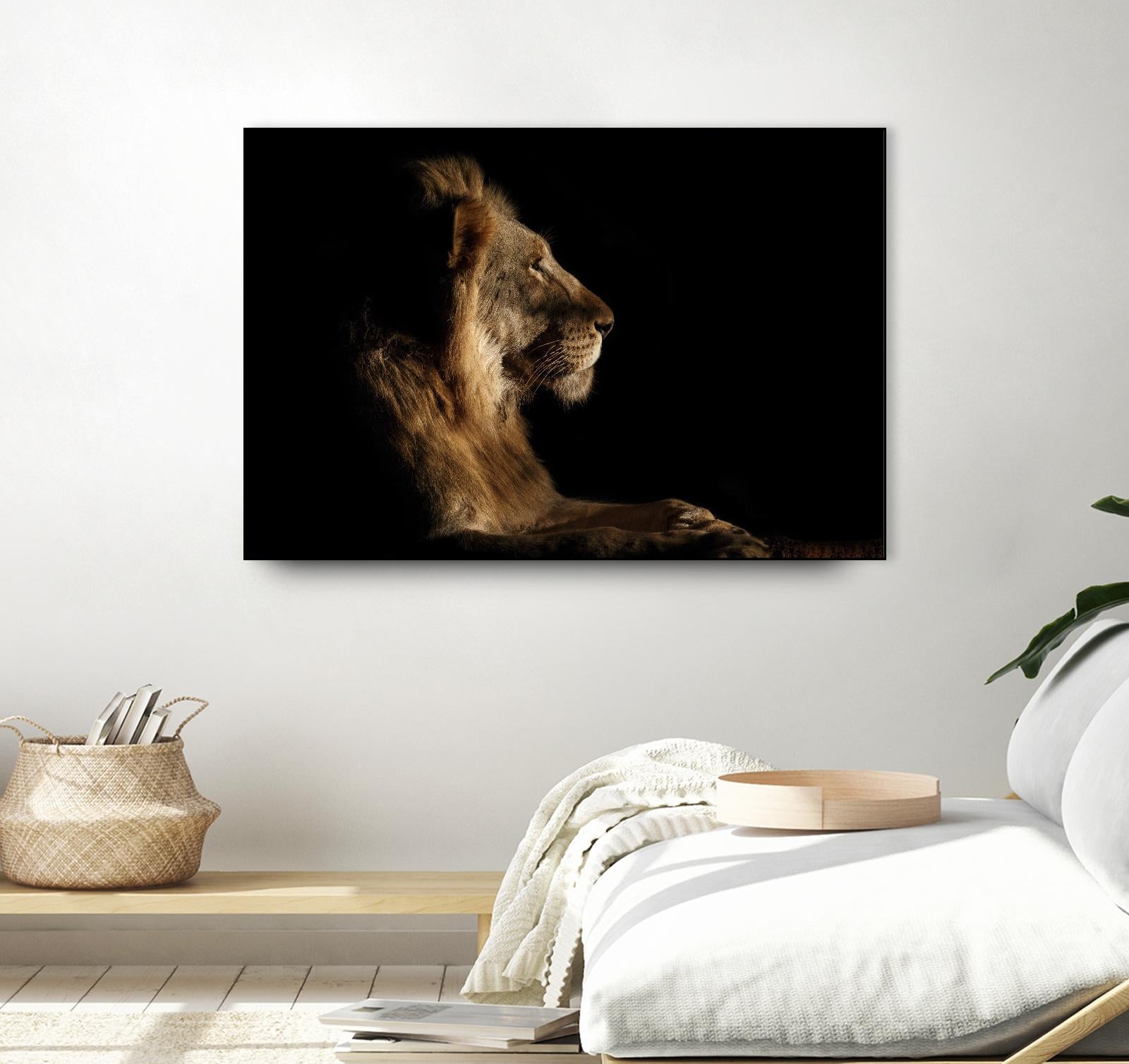 Royal Meeting in the Night by Hemb 1X on GIANT ART - black animals