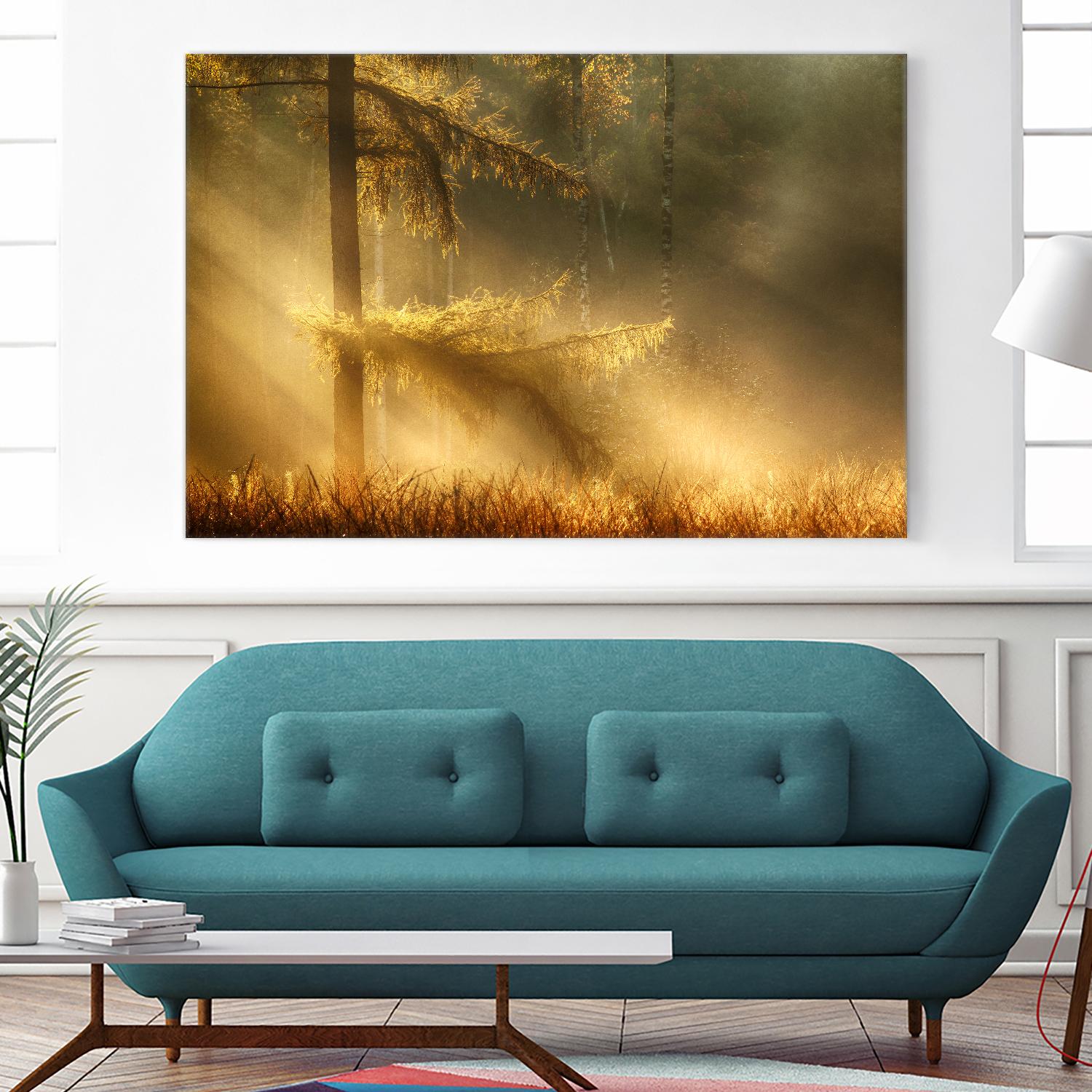 Autumn Light by Mies 1X on GIANT ART - orange trees