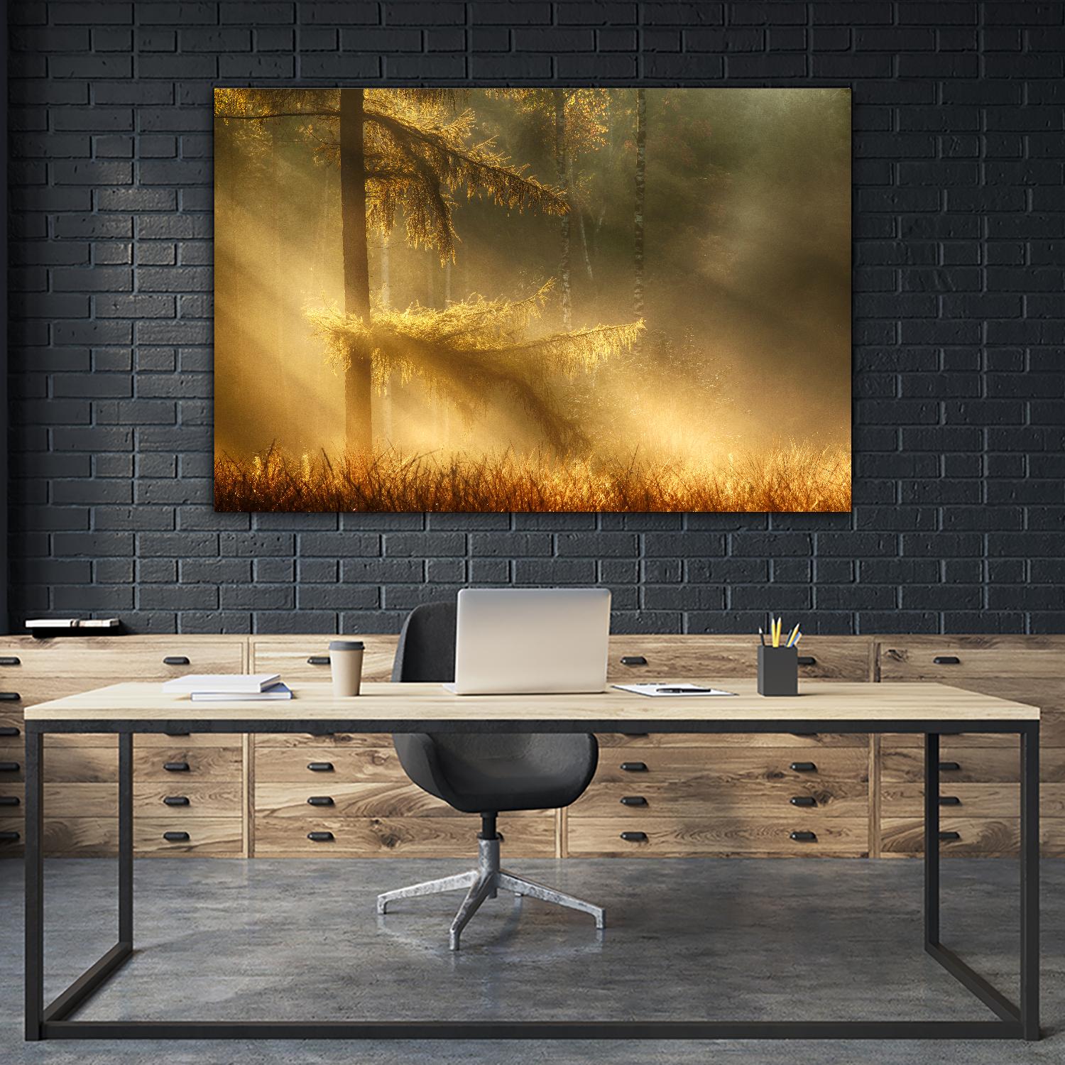 Autumn Light by Mies 1X on GIANT ART - orange trees