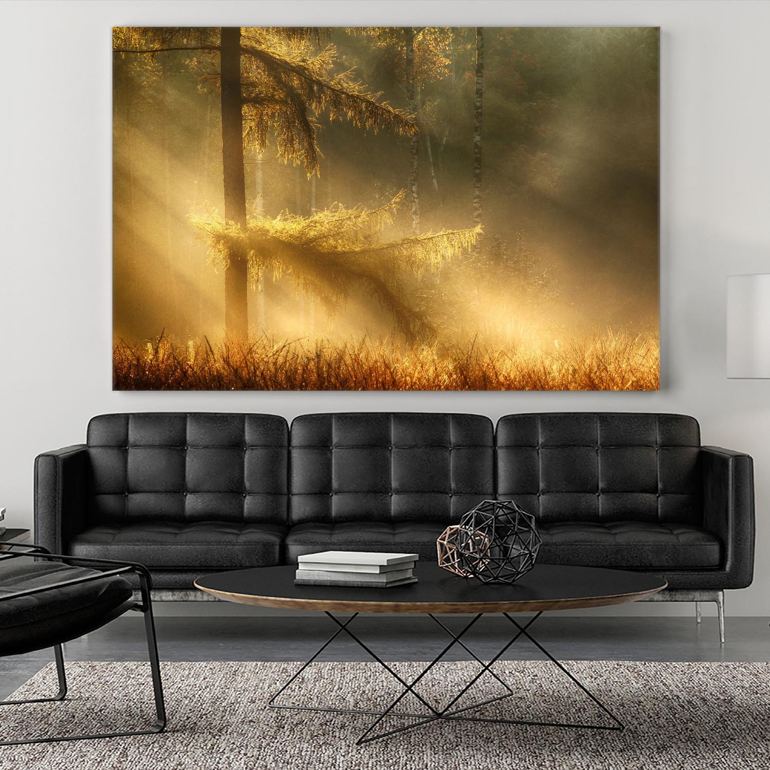 Autumn Light by Mies 1X on GIANT ART - orange trees