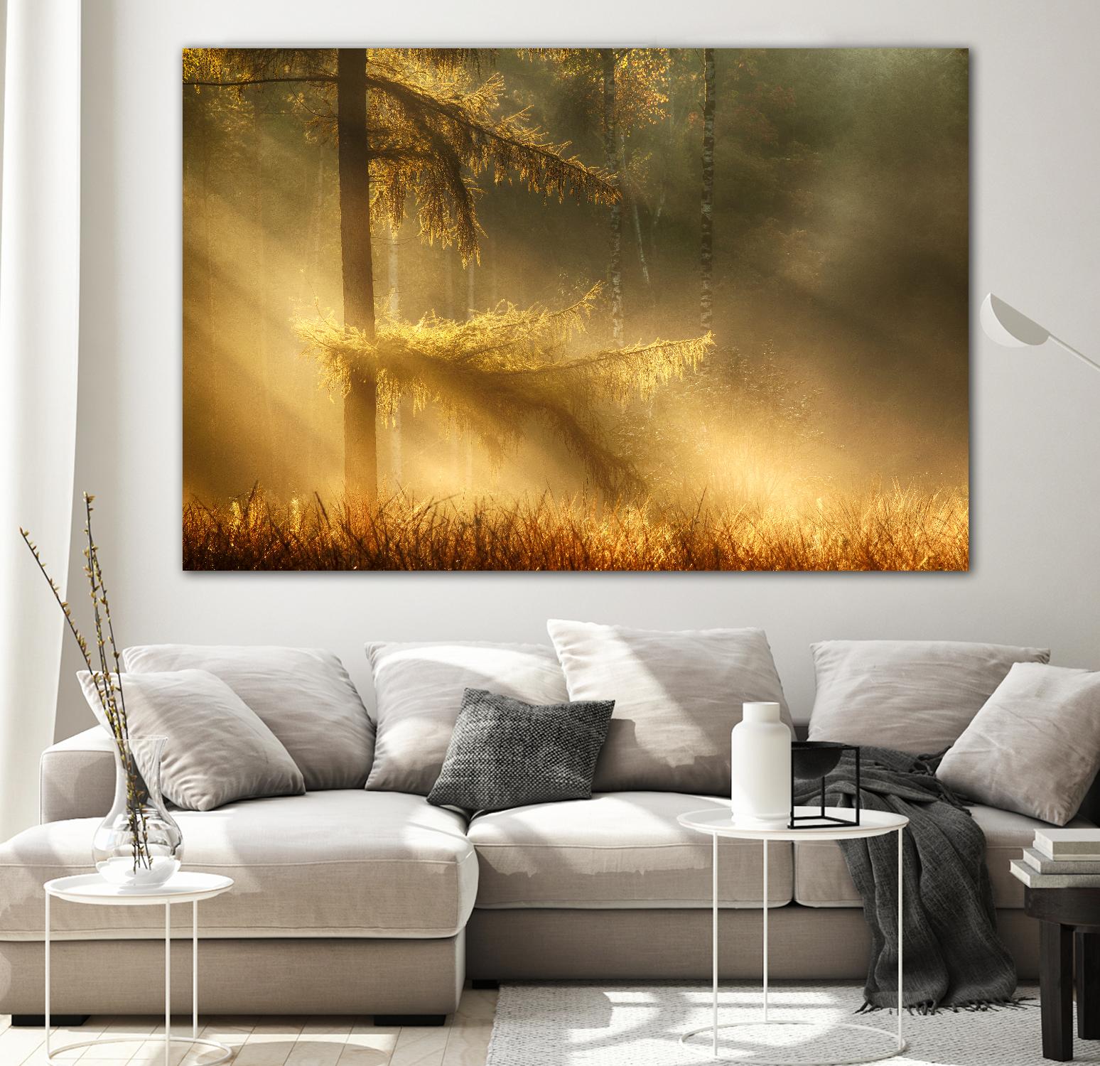 Autumn Light by Mies 1X on GIANT ART - orange trees