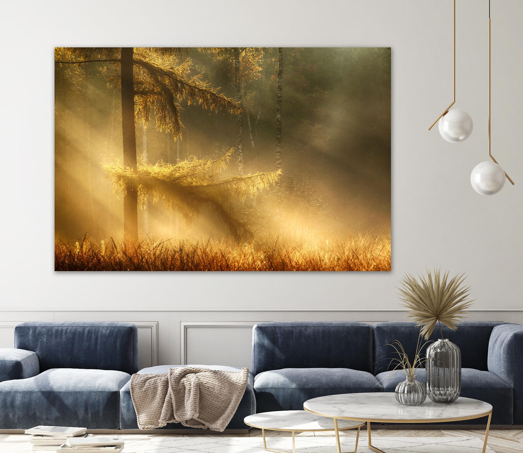 Autumn Light by Mies 1X on GIANT ART - orange trees