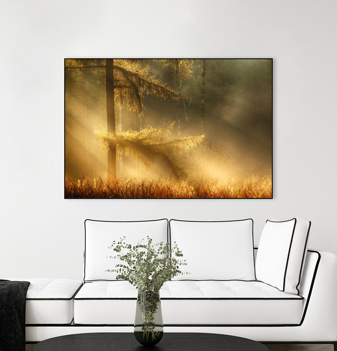 Autumn Light by Mies 1X on GIANT ART - orange trees