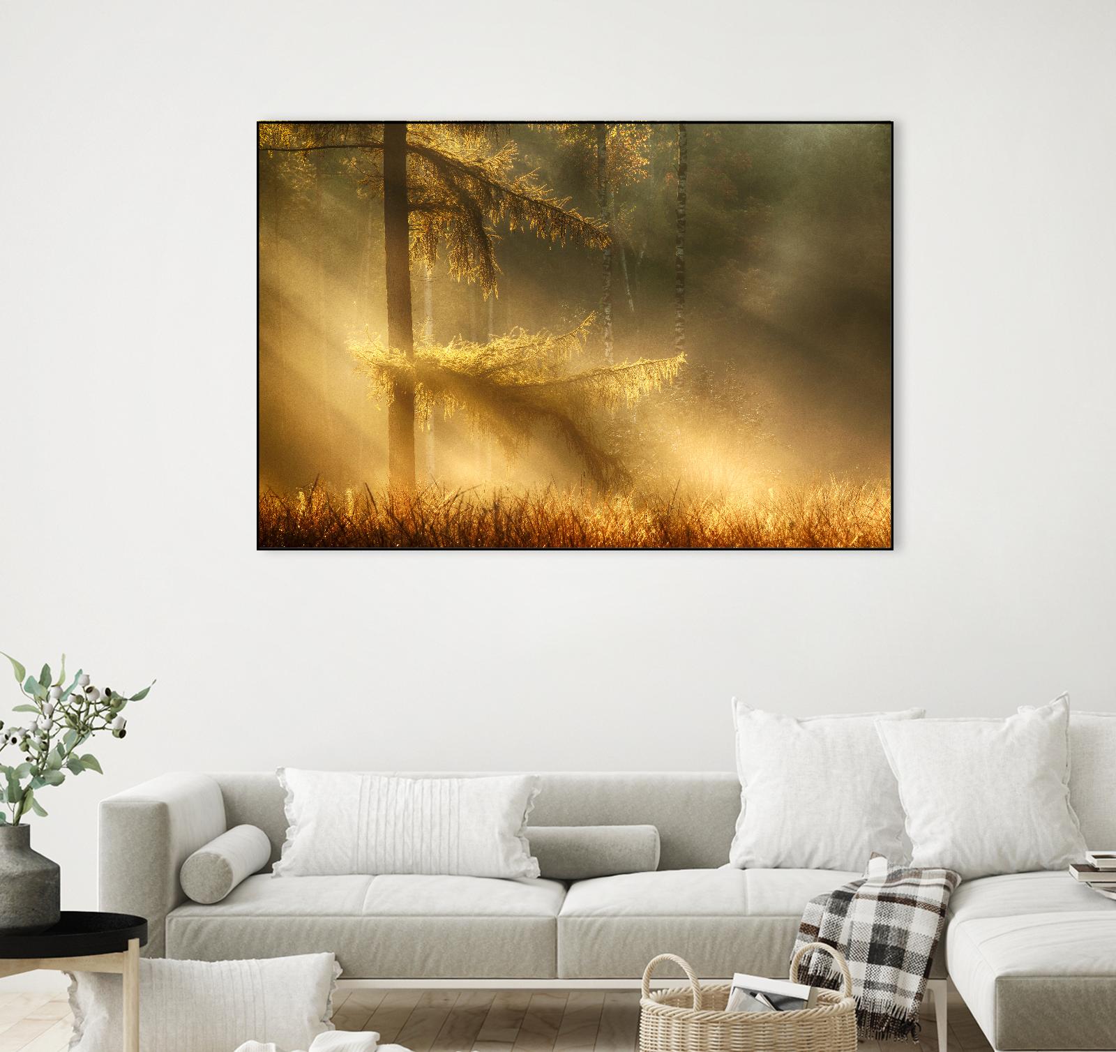 Autumn Light by Mies 1X on GIANT ART - orange trees