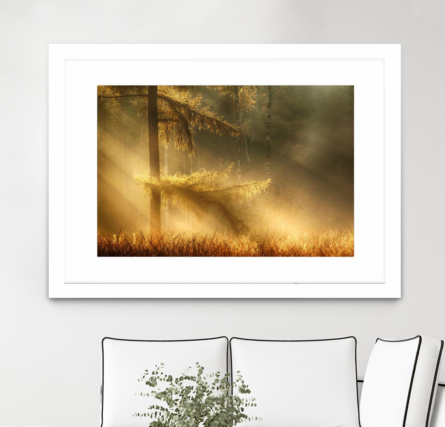 Autumn Light by Mies 1X on GIANT ART - orange trees