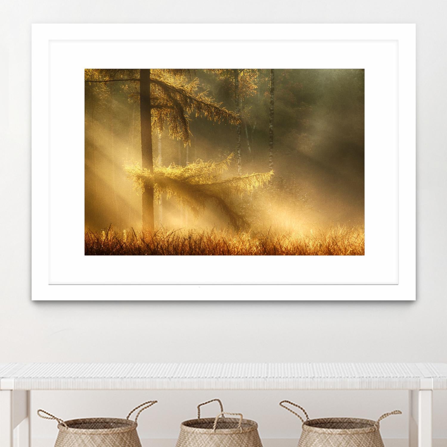 Autumn Light by Mies 1X on GIANT ART - orange trees