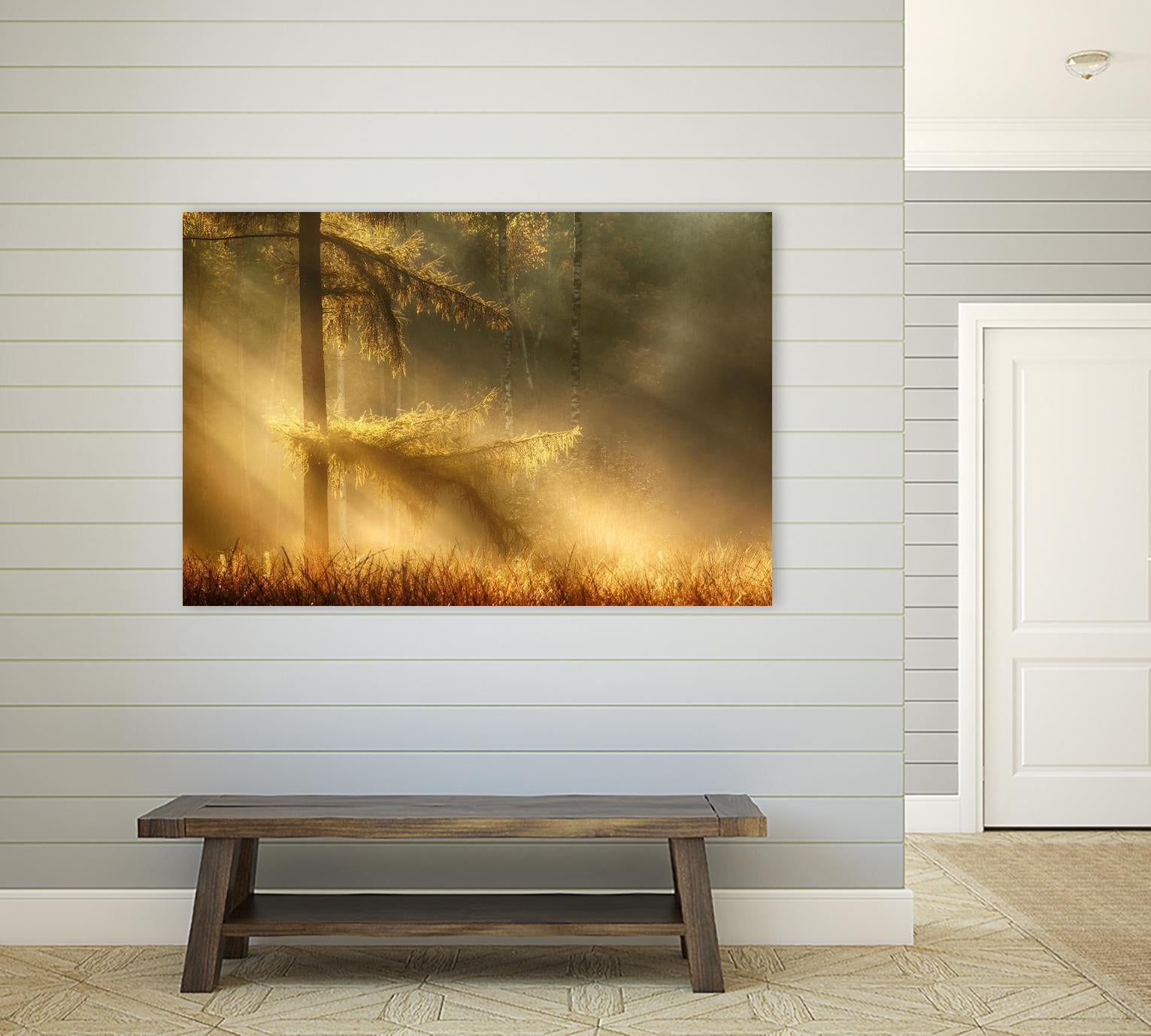 Autumn Light by Mies 1X on GIANT ART - orange trees