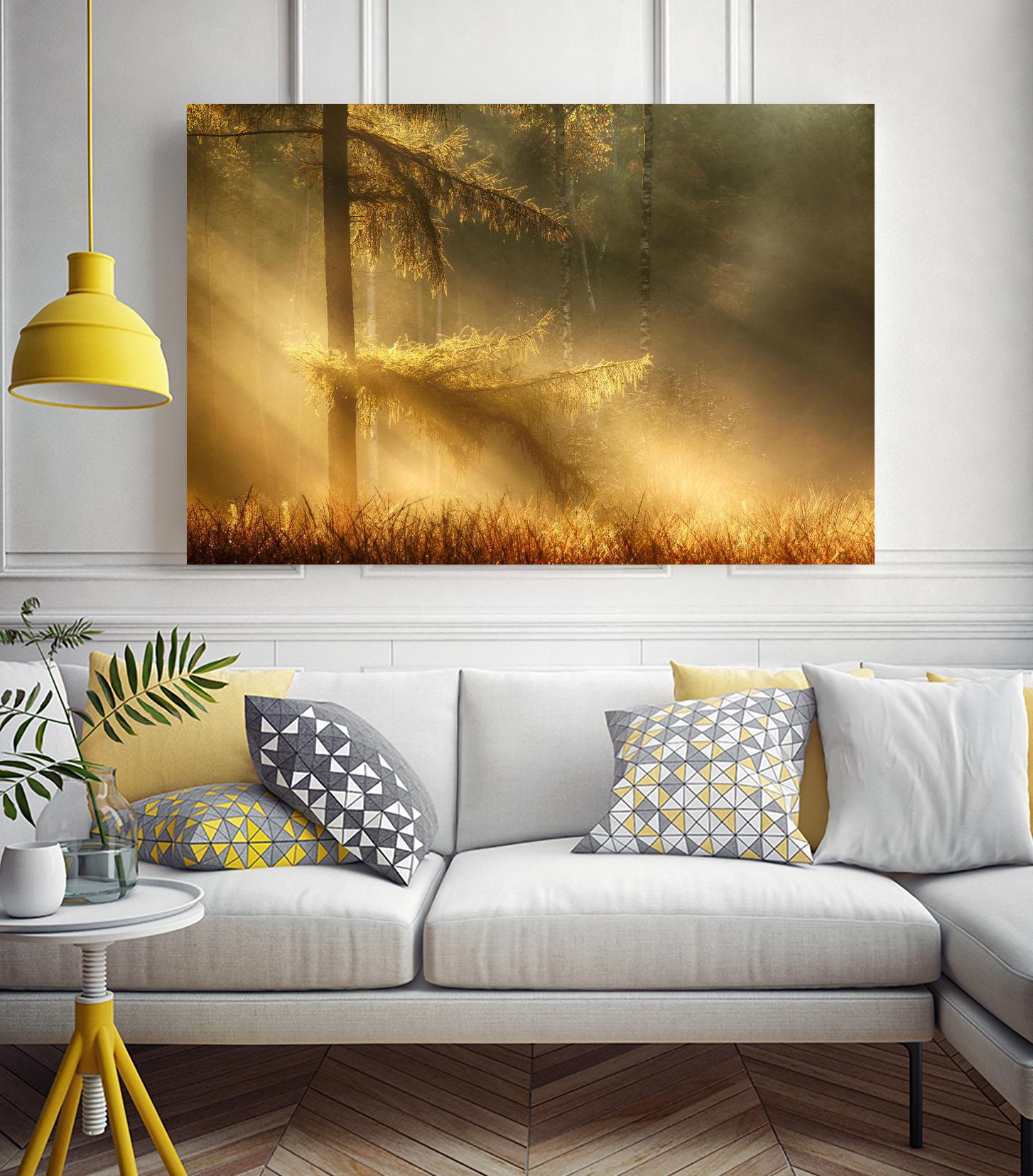 Autumn Light by Mies 1X on GIANT ART - orange trees