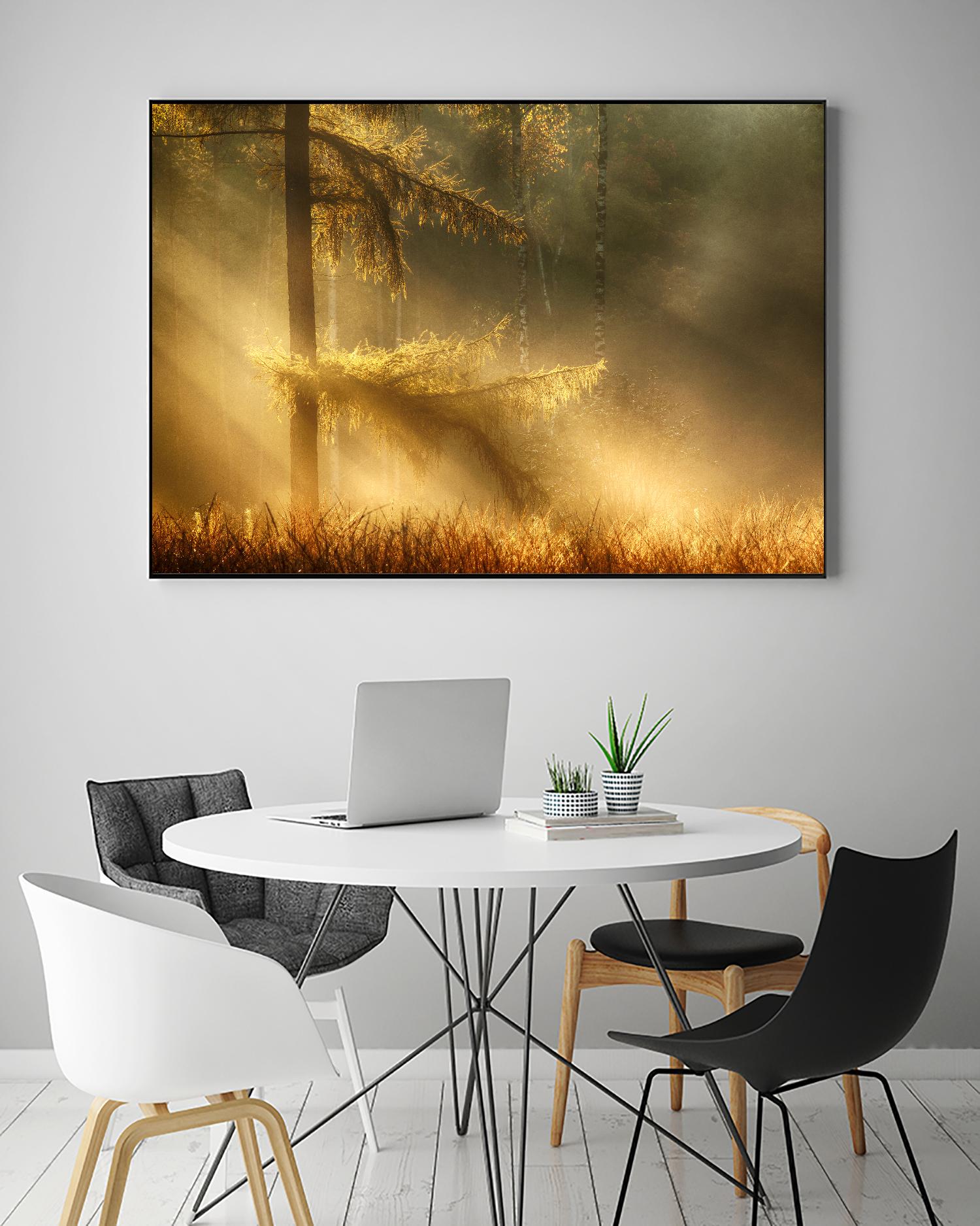 Autumn Light by Mies 1X on GIANT ART - orange trees