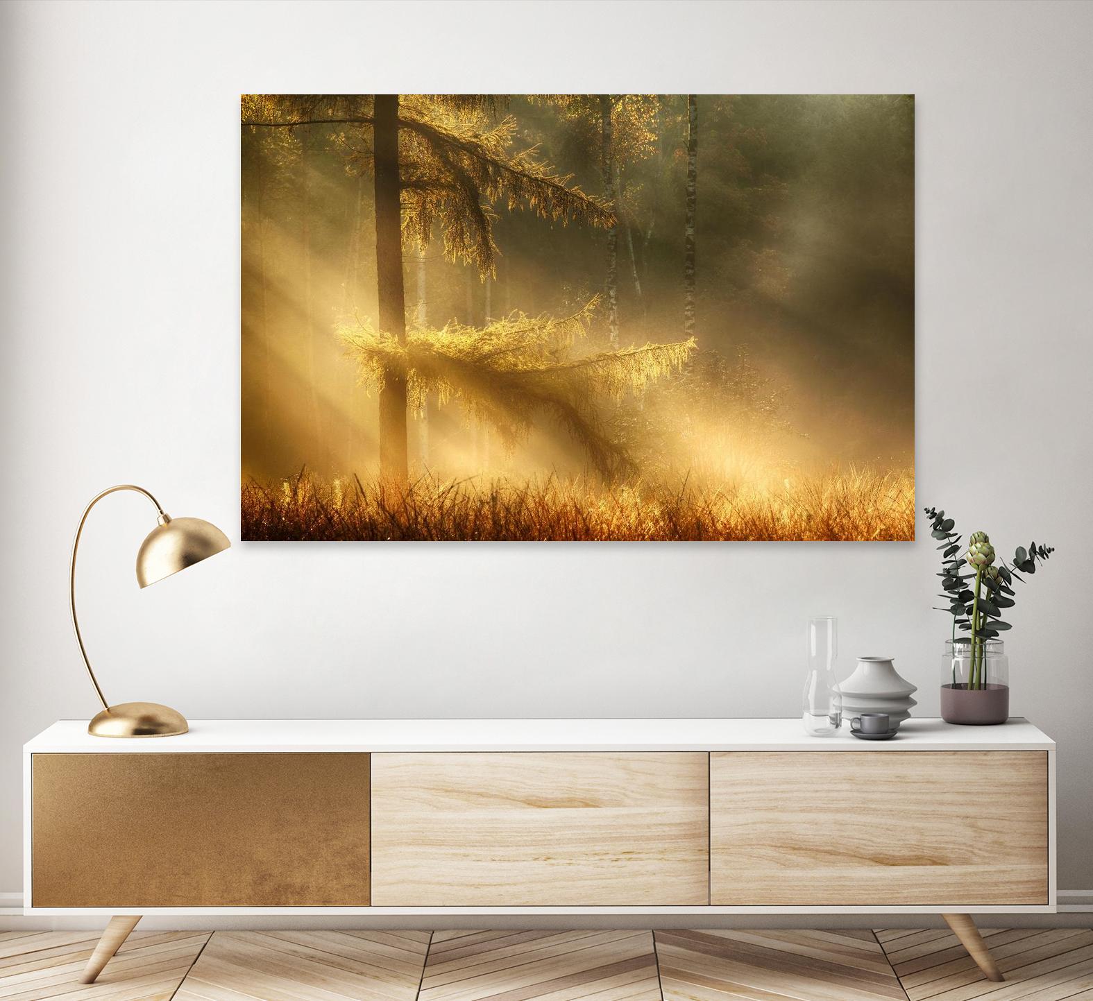 Autumn Light by Mies 1X on GIANT ART - orange trees