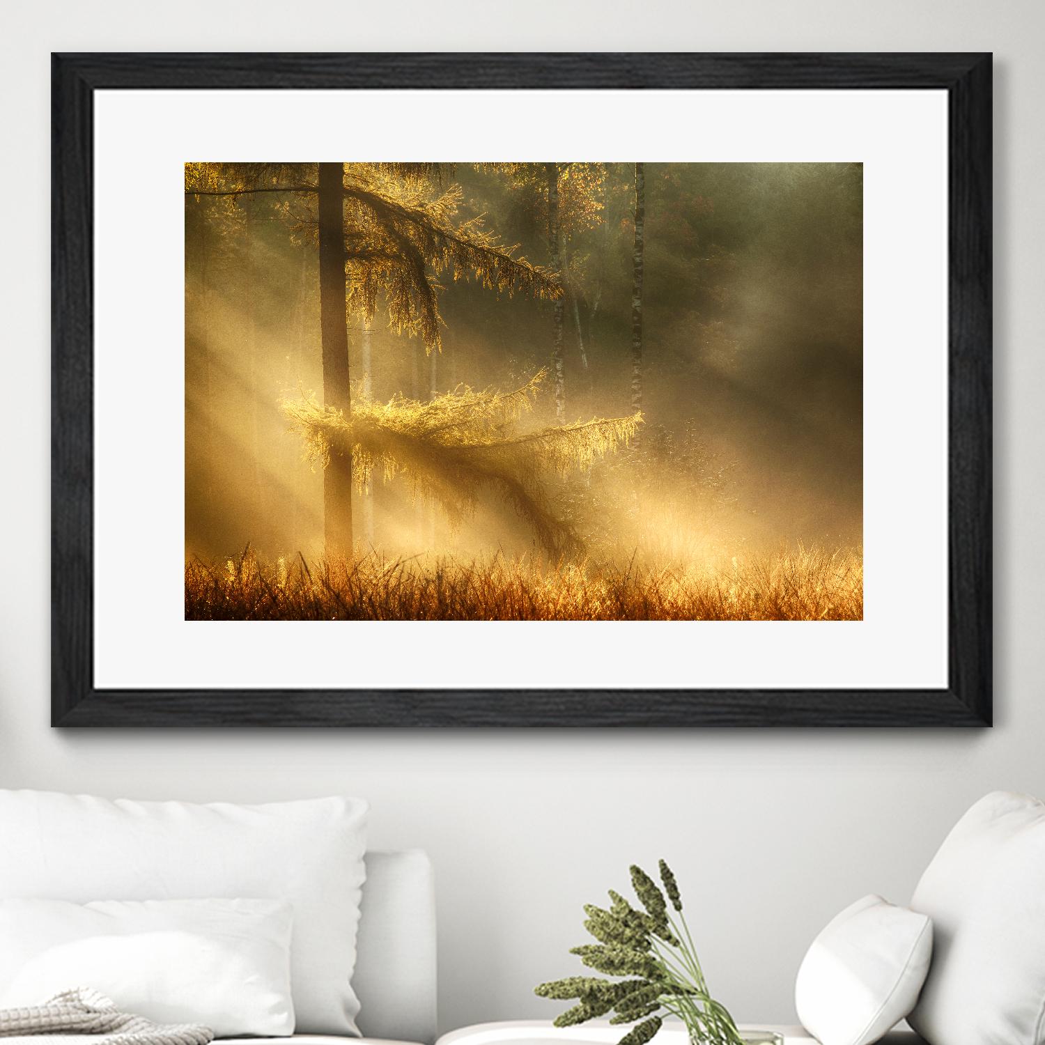 Autumn Light by Mies 1X on GIANT ART - orange trees