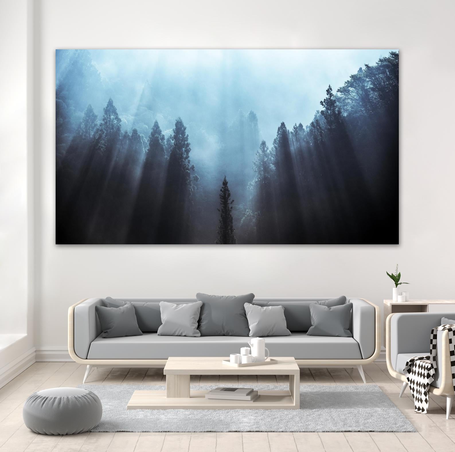 Fuji - Light to be Believed Likely by 1X on GIANT ART - grey landscape