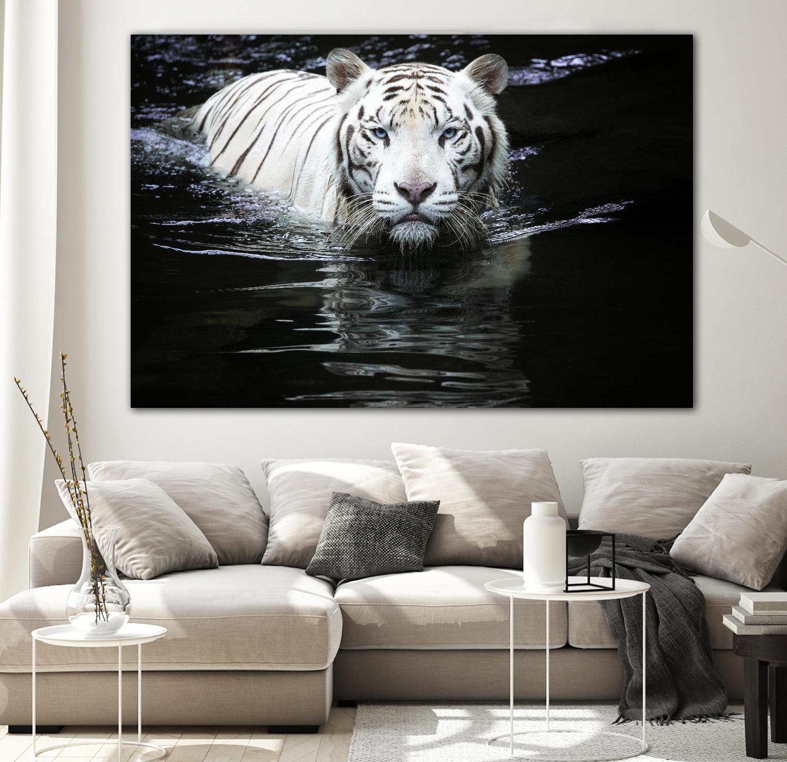 Doyle - Looking at Me Looking at You by 1X on GIANT ART - white photo art