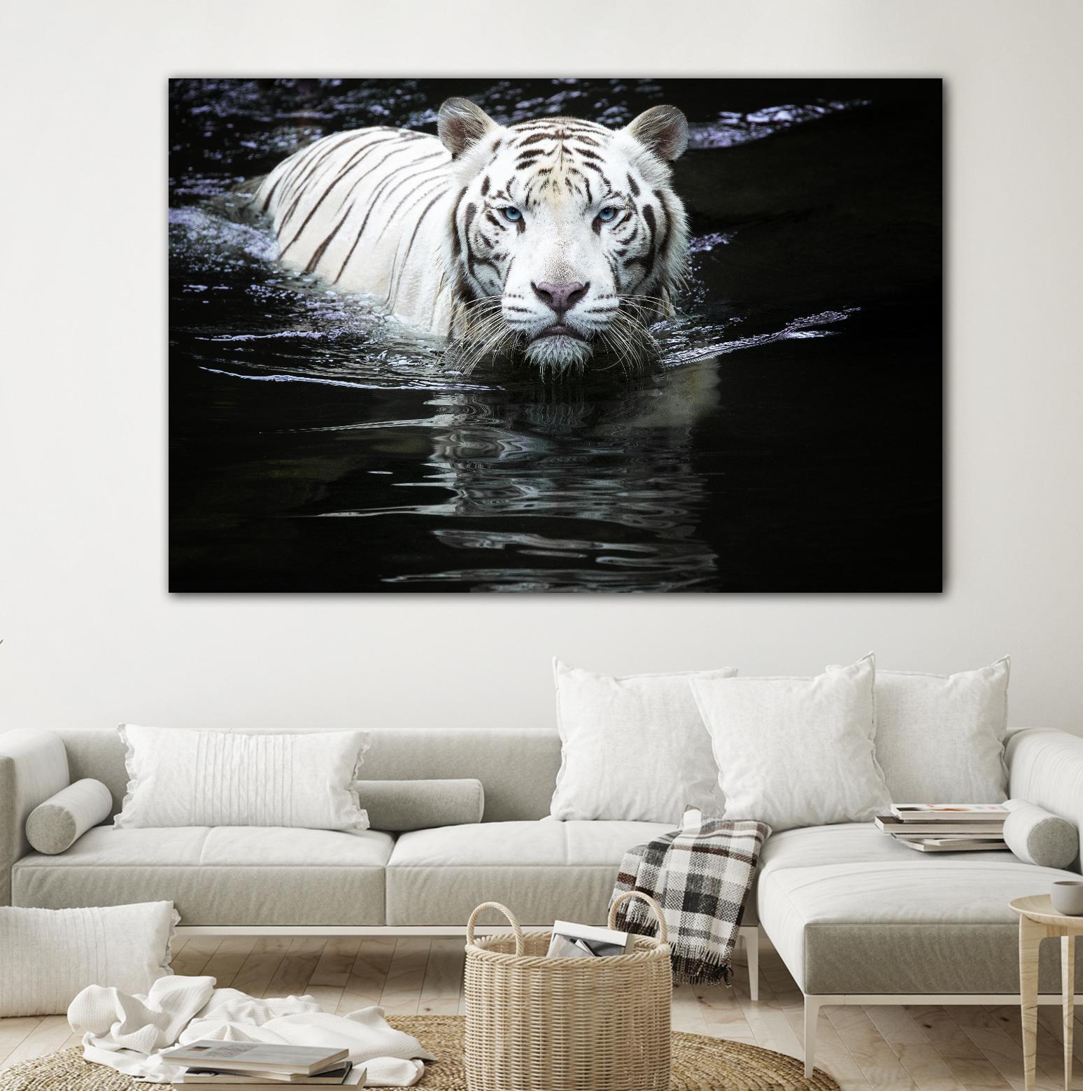 Doyle - Looking at Me Looking at You by 1X on GIANT ART - white photo art