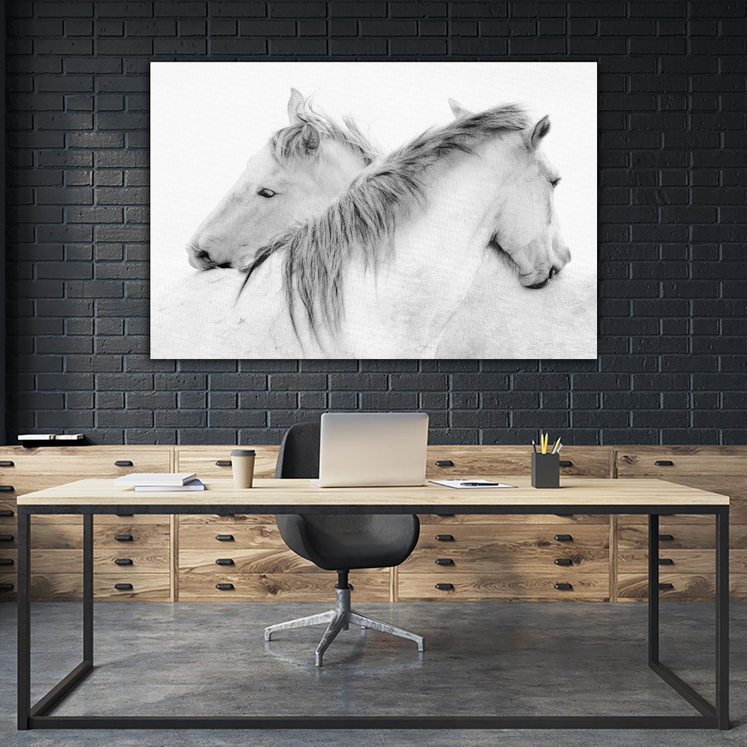 Stas - Horses by 1X on GIANT ART - white photo art