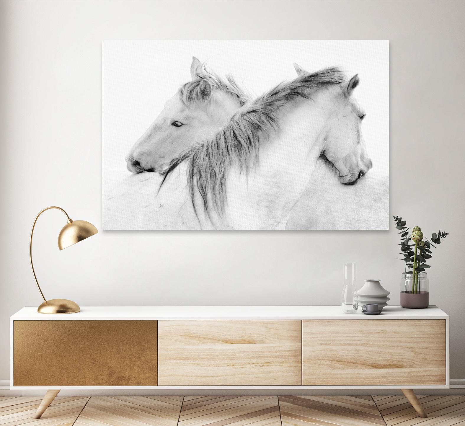 Stas - Horses by 1X on GIANT ART - white photo art