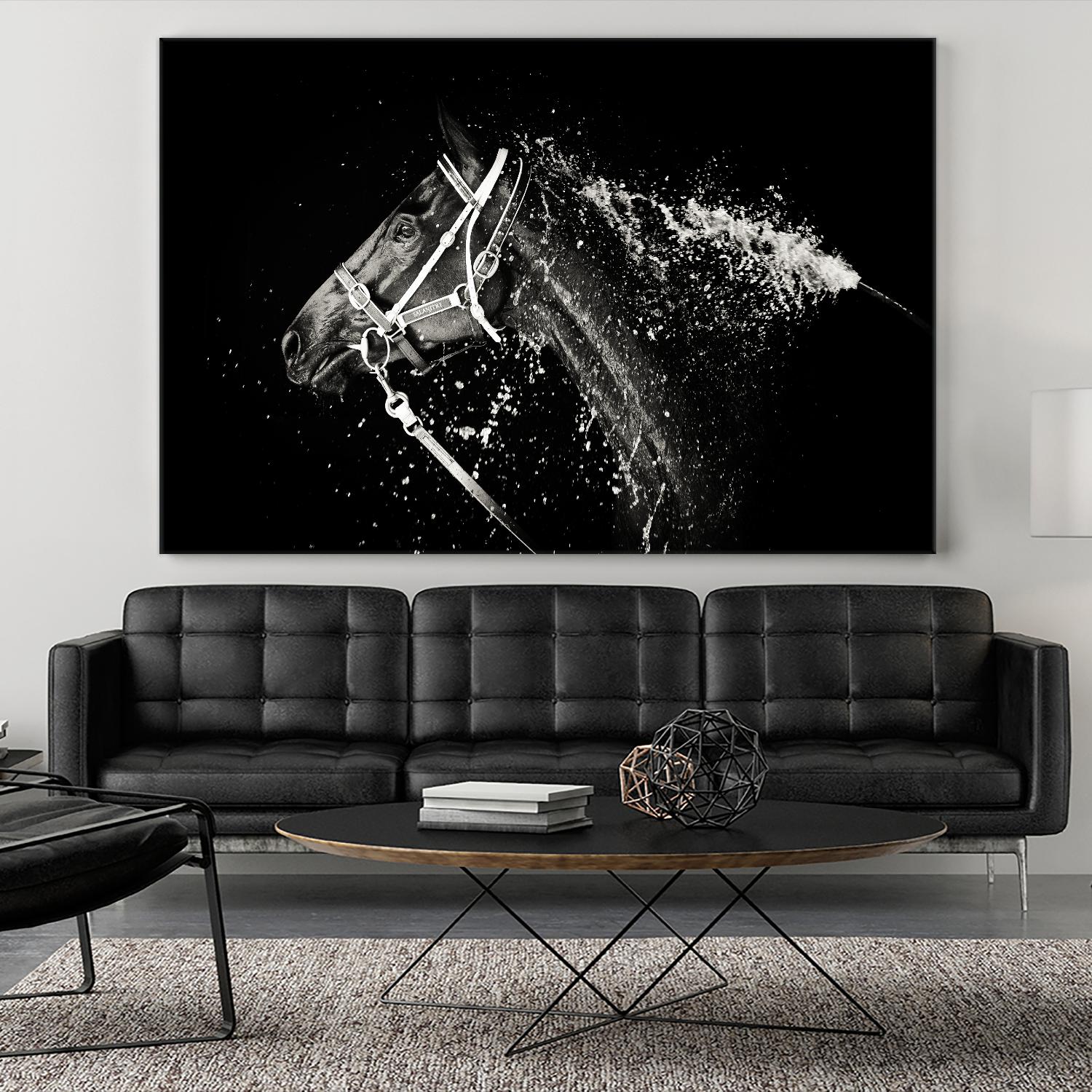 Lee Chapman - The Hose Down by 1X on GIANT ART - grey photo art