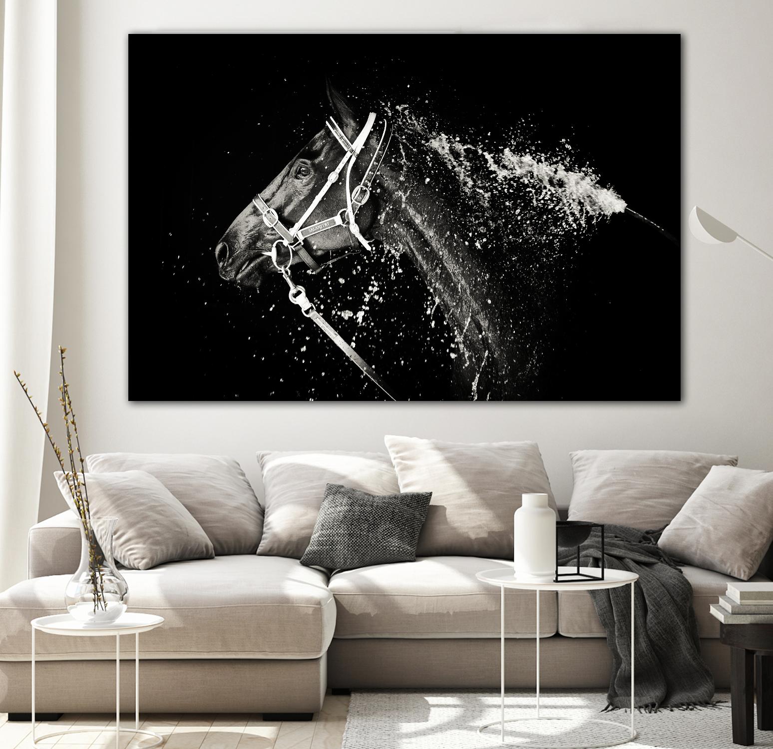 Lee Chapman - The Hose Down by 1X on GIANT ART - grey photo art