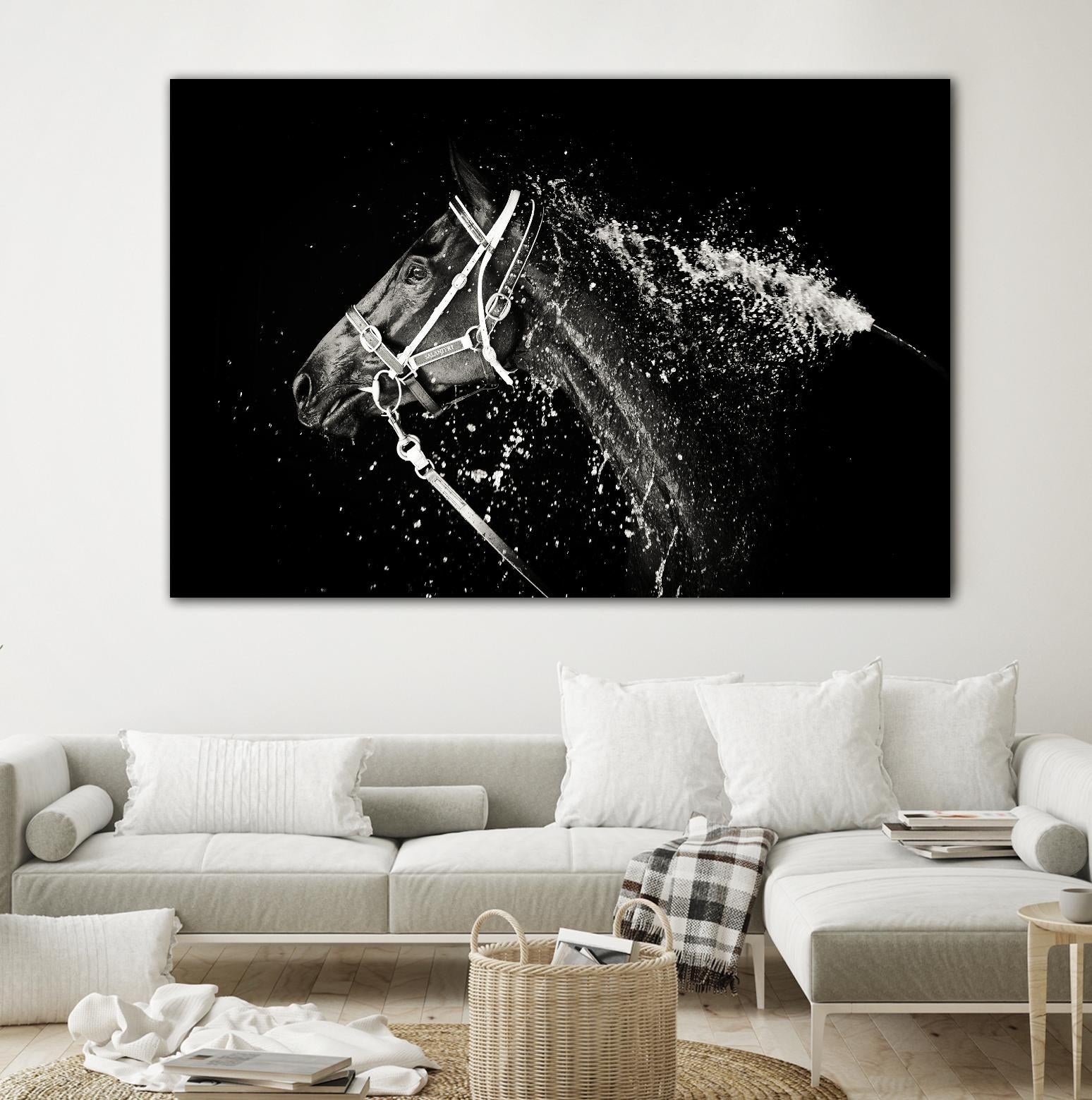 Lee Chapman - The Hose Down by 1X on GIANT ART - grey photo art