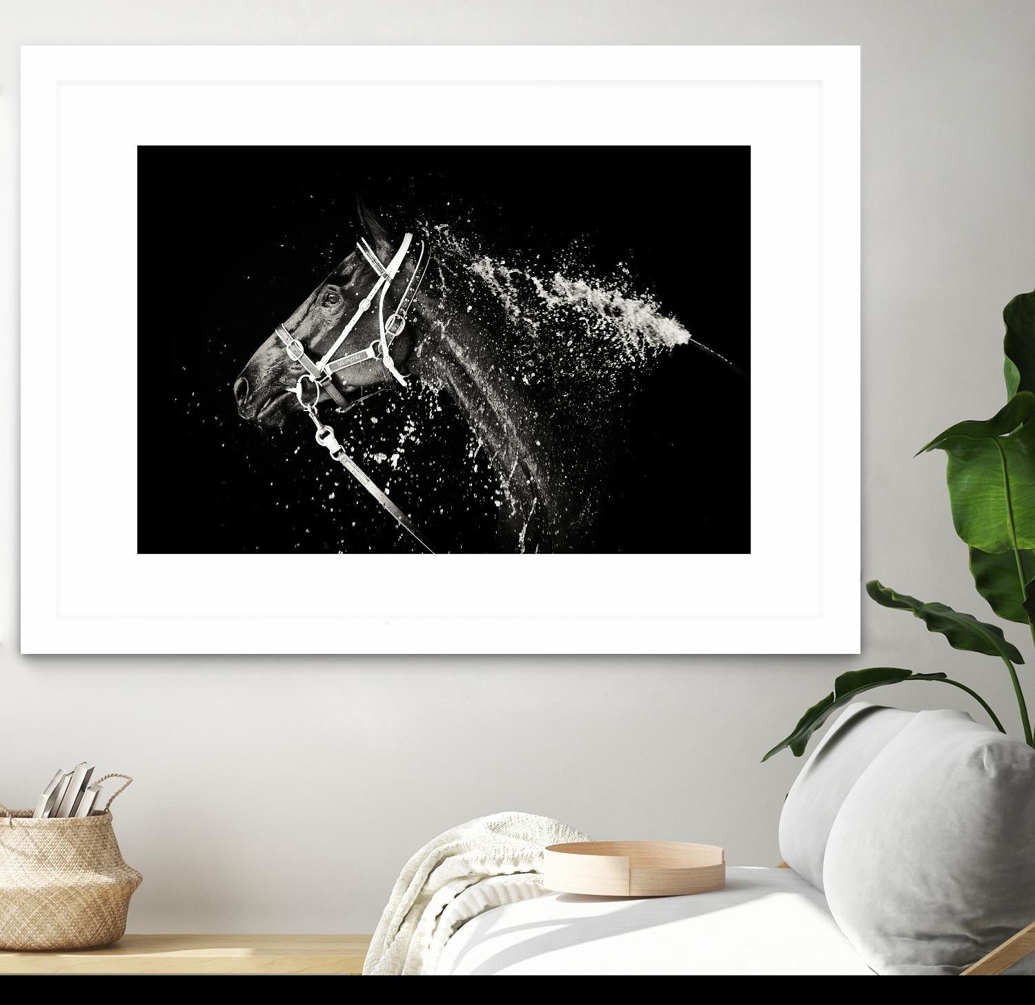 Lee Chapman - The Hose Down by 1X on GIANT ART - grey photo art