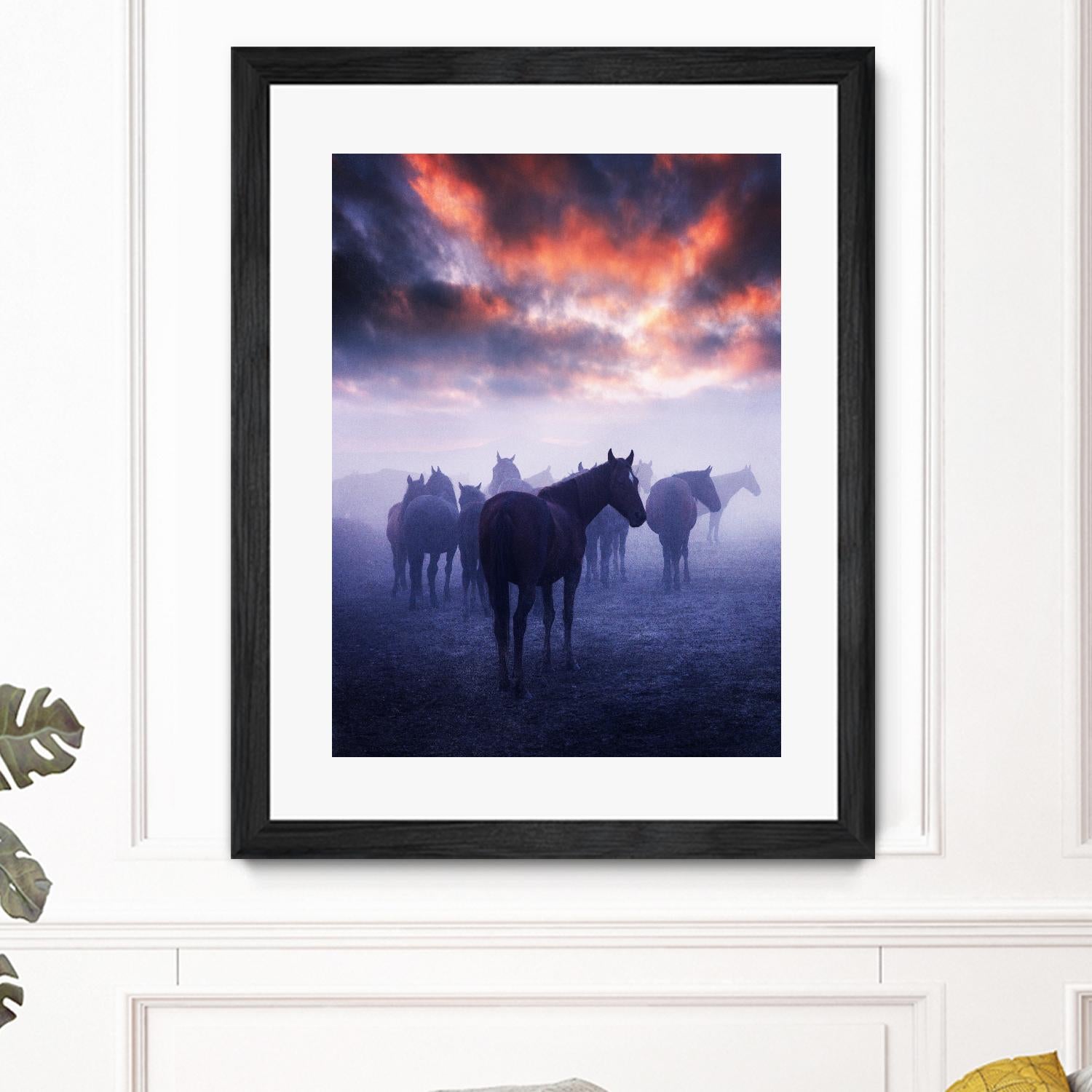 Cevik - Wild Horses by 1X on GIANT ART - pink animals
